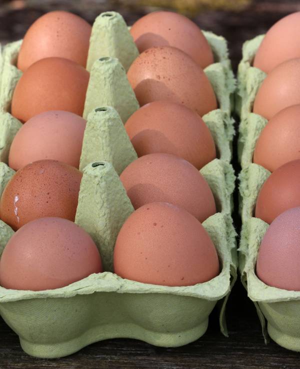 Bio-Eier aus einem Hofladen