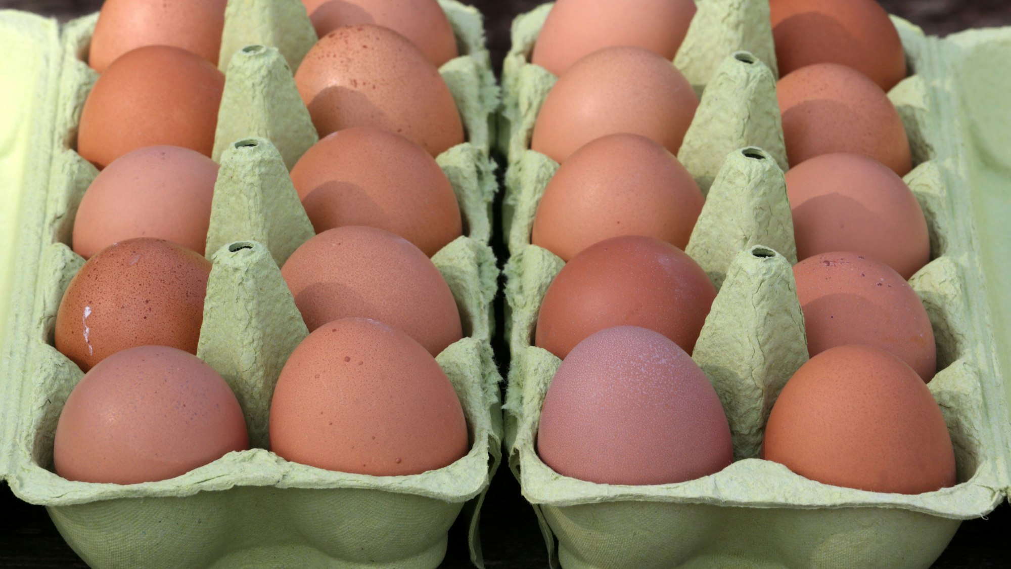 Bio-Eier aus einem Hofladen