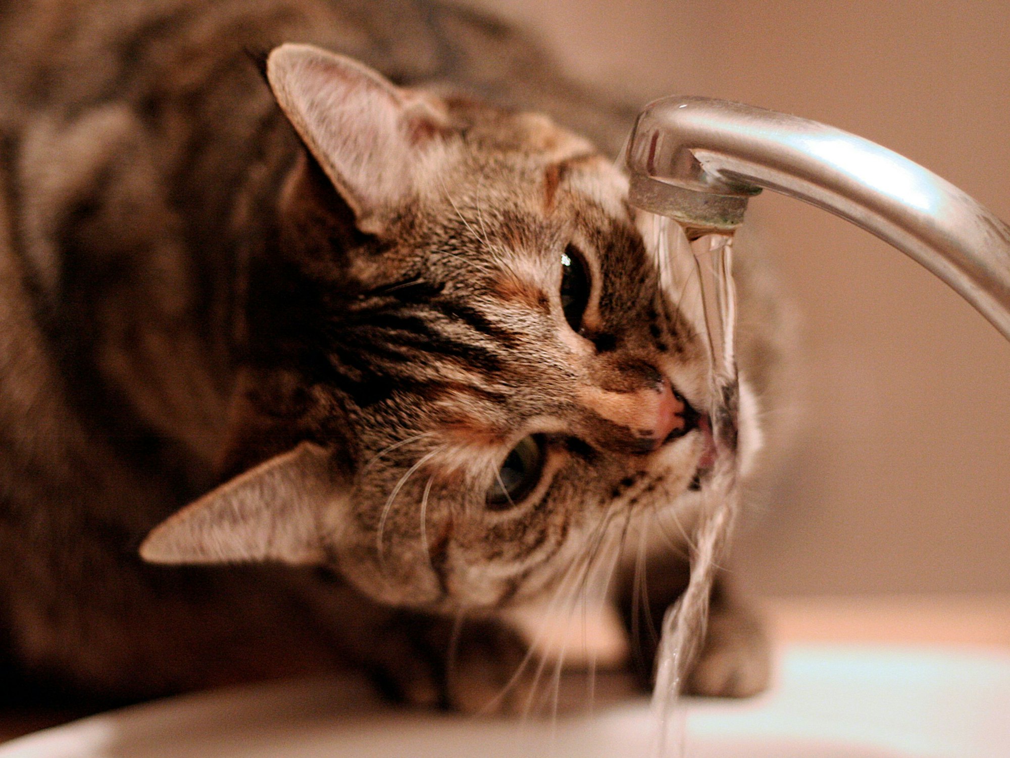 Möchte man Wasser sparen, geht das schon mit ein paar einfachen Tricks.