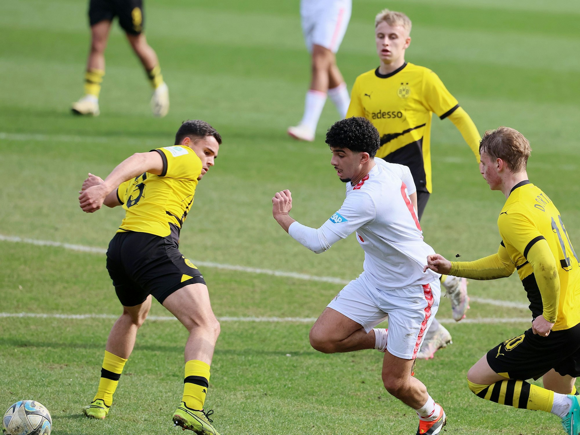 1. FC Köln U19 gegen Borussia Dortmund, A Junioren Bundesliga West, am Ball: Fayssal Harchaoui
