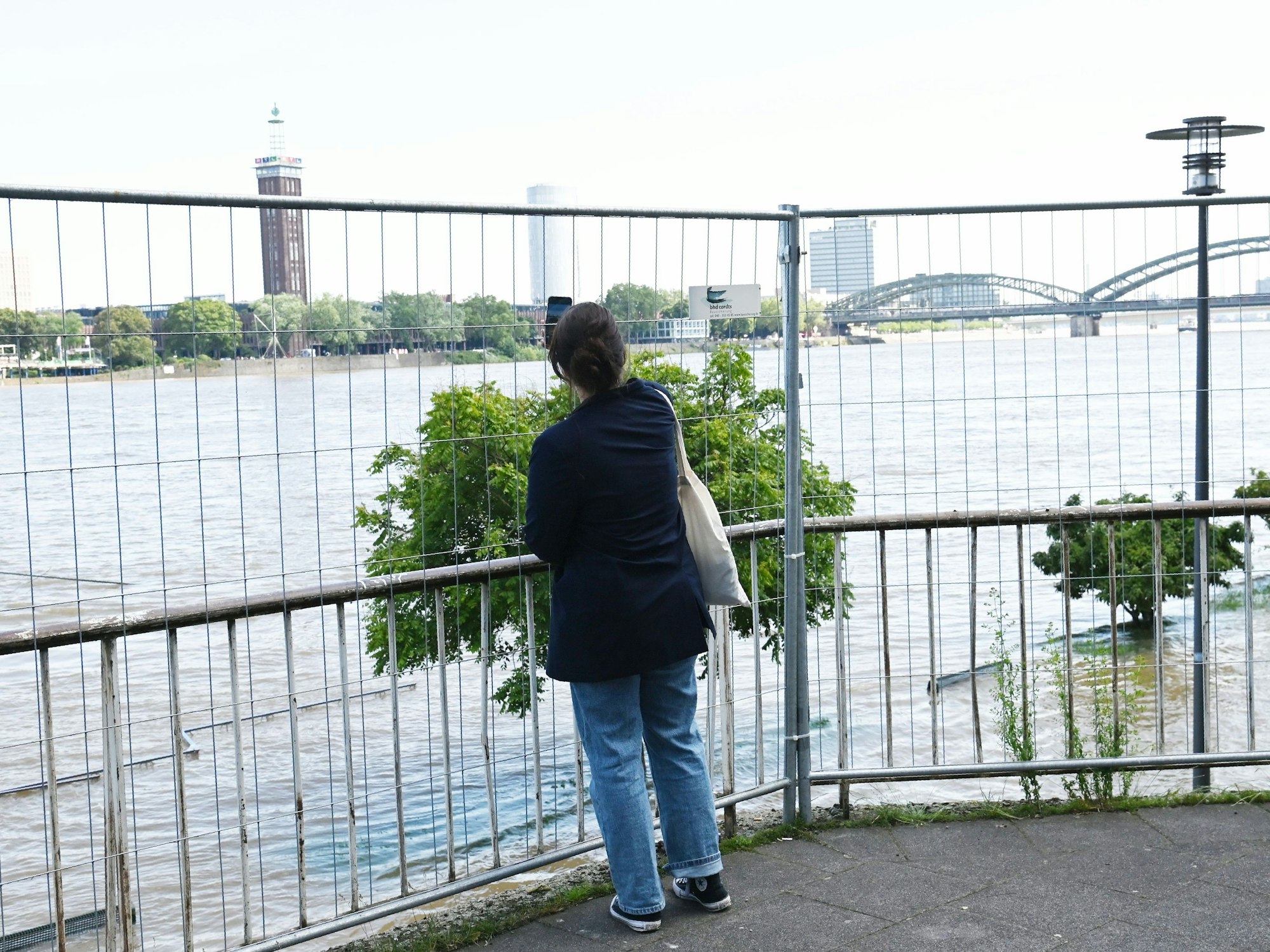 Eine Frau macht ein Foto vom Rhein und fotografiert durch den Zaun.