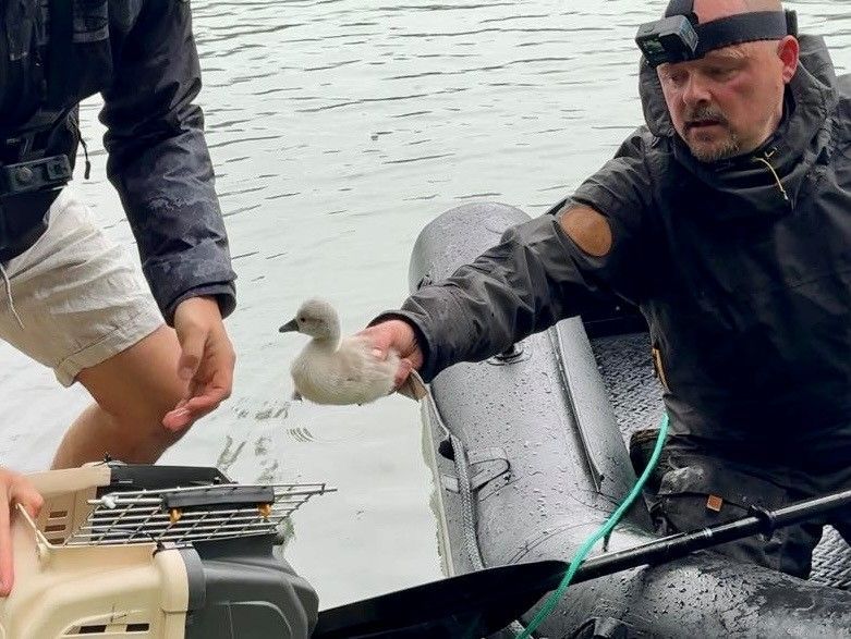 Ein Mann in einem Schlauchboot reicht einem anderen Mann ein Küken.
