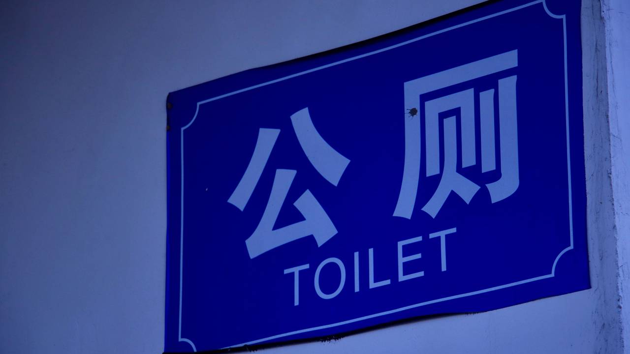 Close-Up eines englisch-chinesischen Toilettenschildes.
