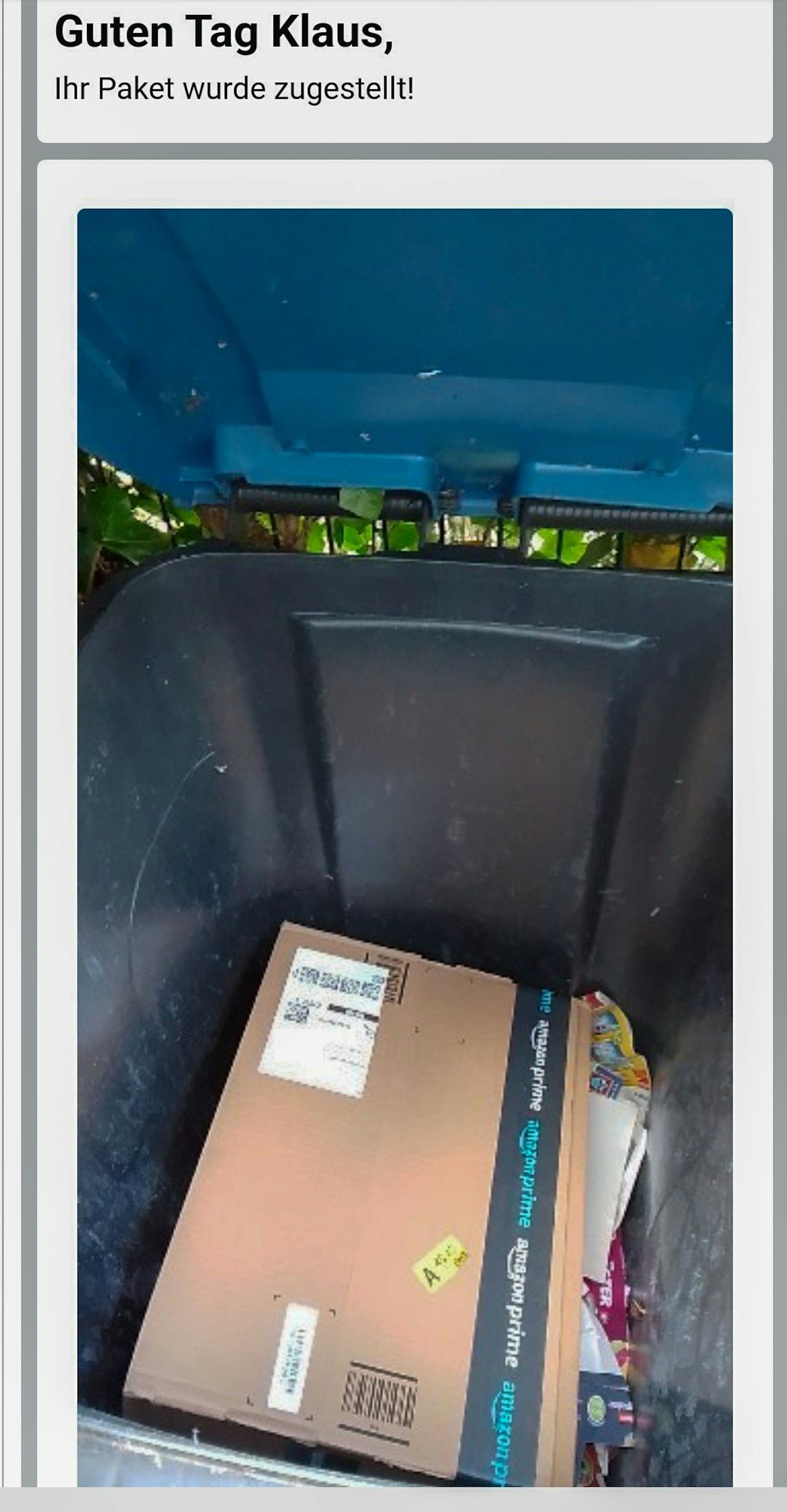 Ein Paket von Amazon in einer Mülltonne.