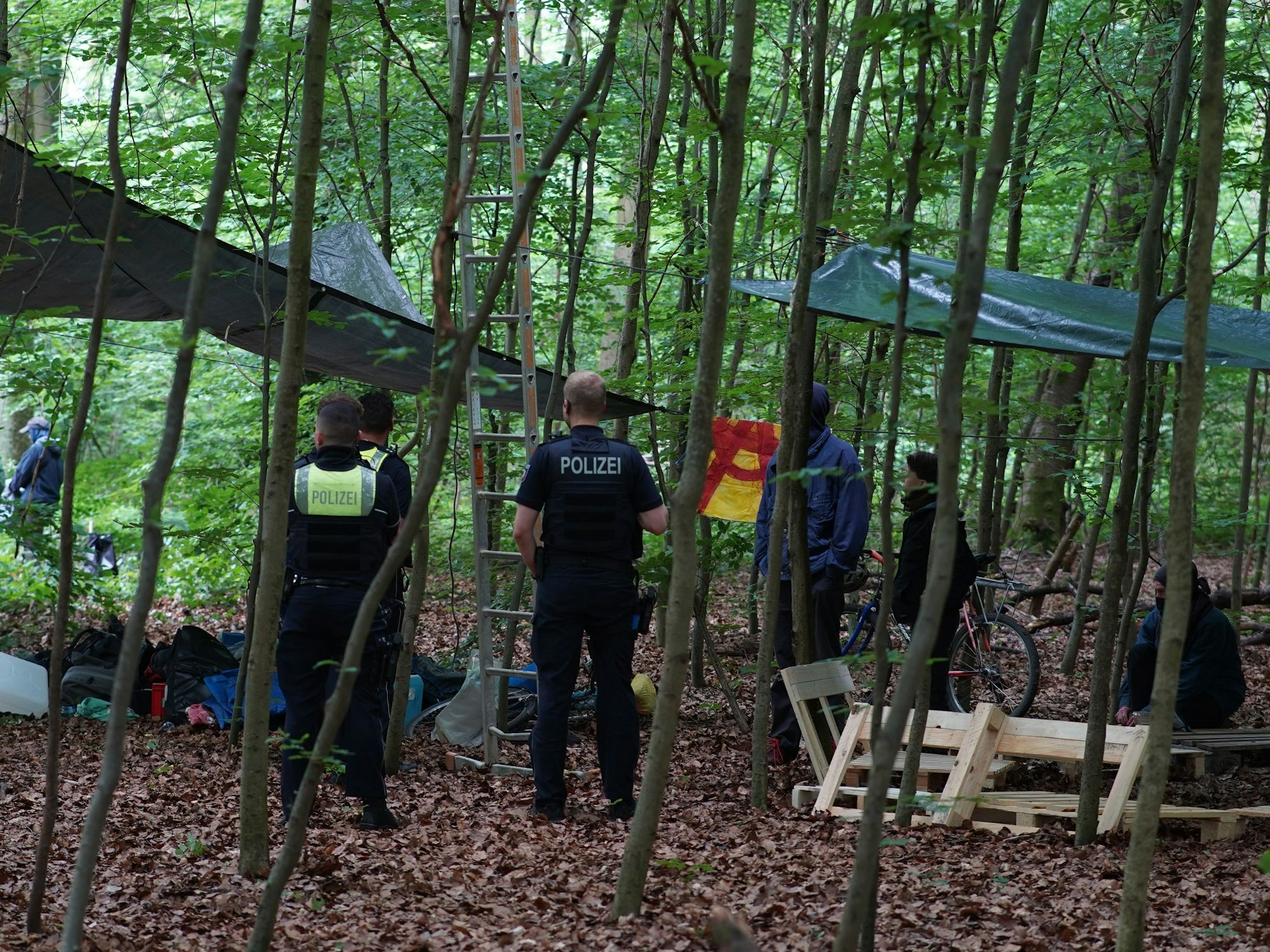 Polizisten stehen in einem Waldstück und sprechen mit Menschen.