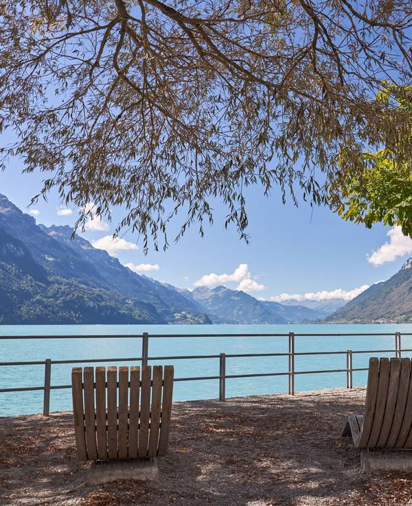 Der Brienzer See vom Ufer aus fotografiert.