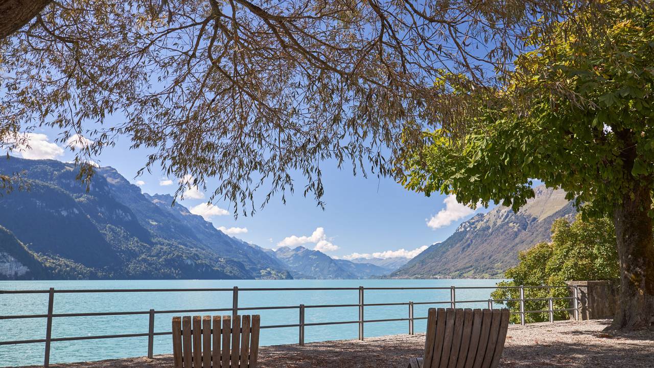 Der Brienzer See vom Ufer aus fotografiert.
