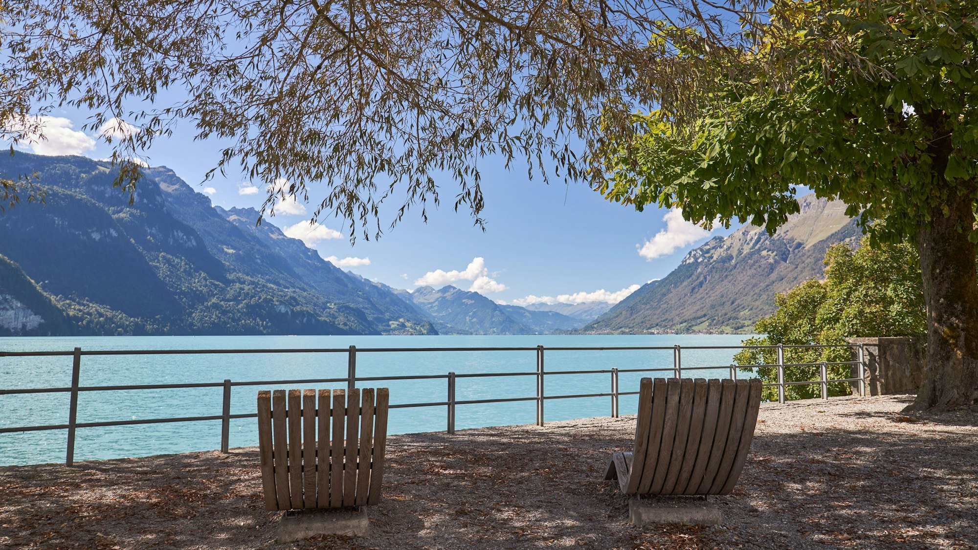 Der Brienzer See vom Ufer aus fotografiert.