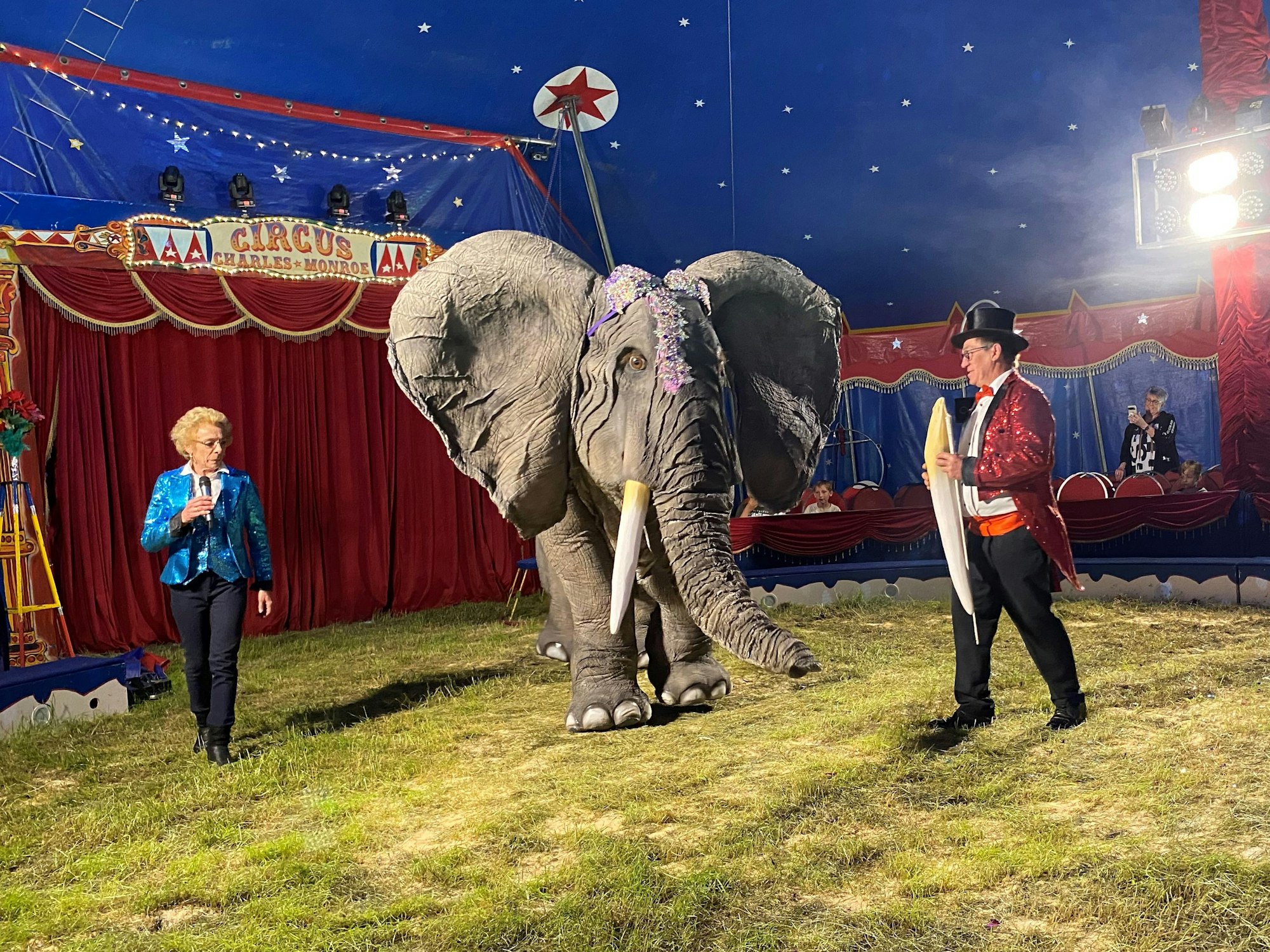 Monti ist eine realistische Nachbildung eines Afrikanischen Elefanten und gehört dem Kölner Cirkus Charles Monroe