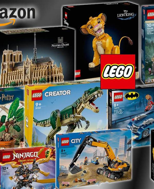 Lego Sets wie Lego Star Wars Battle Pack, Lego Harry Potter Alraune, Lego DC Batman, Lego Speed Champions, Creator T Rex, Lego Notre Dame, Lego Simba König der Löwen.