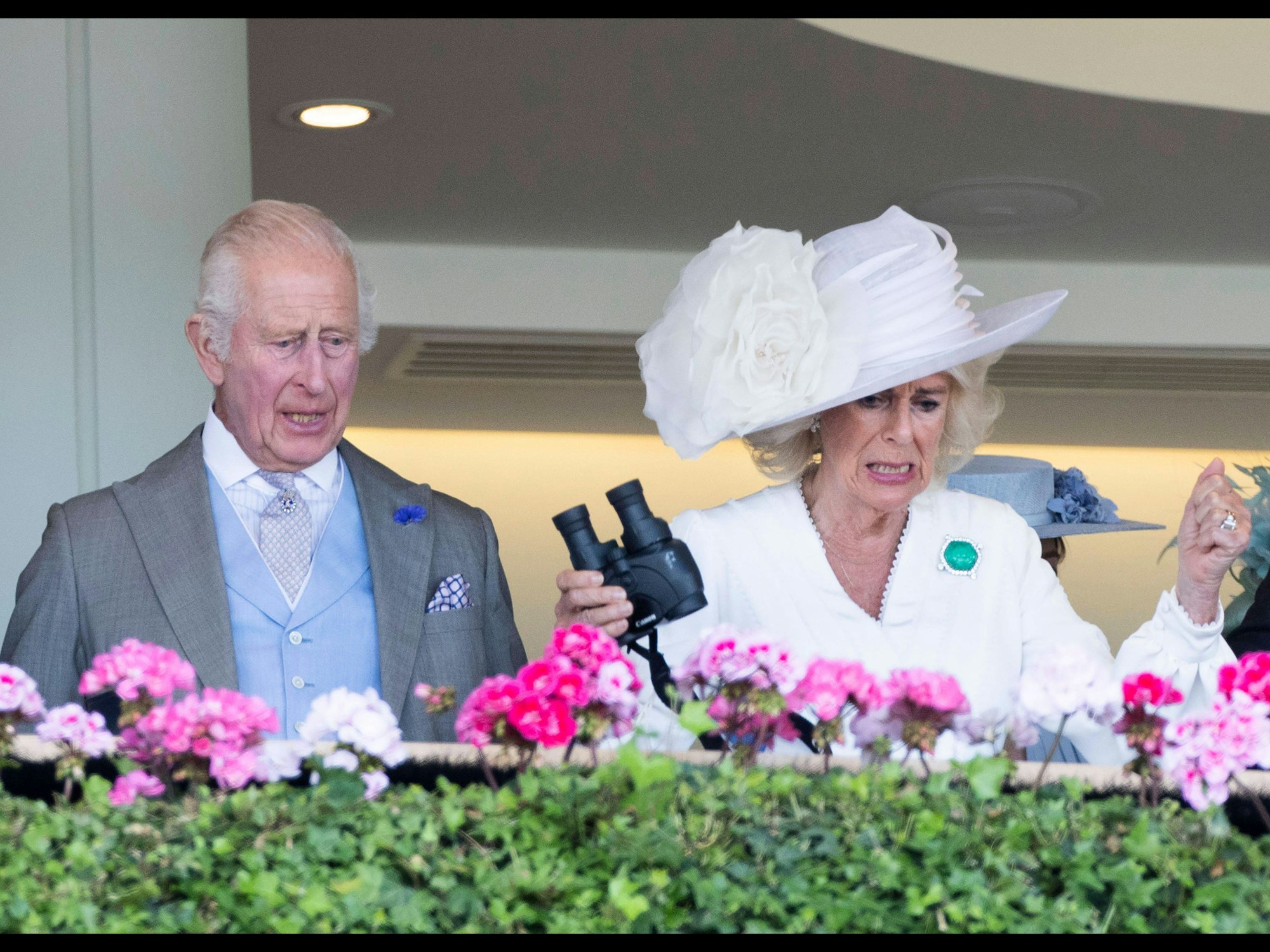Das Foto zeigt König Charles und Königin Camilla am dritten Tag des Pferderennens Royal Ascot.