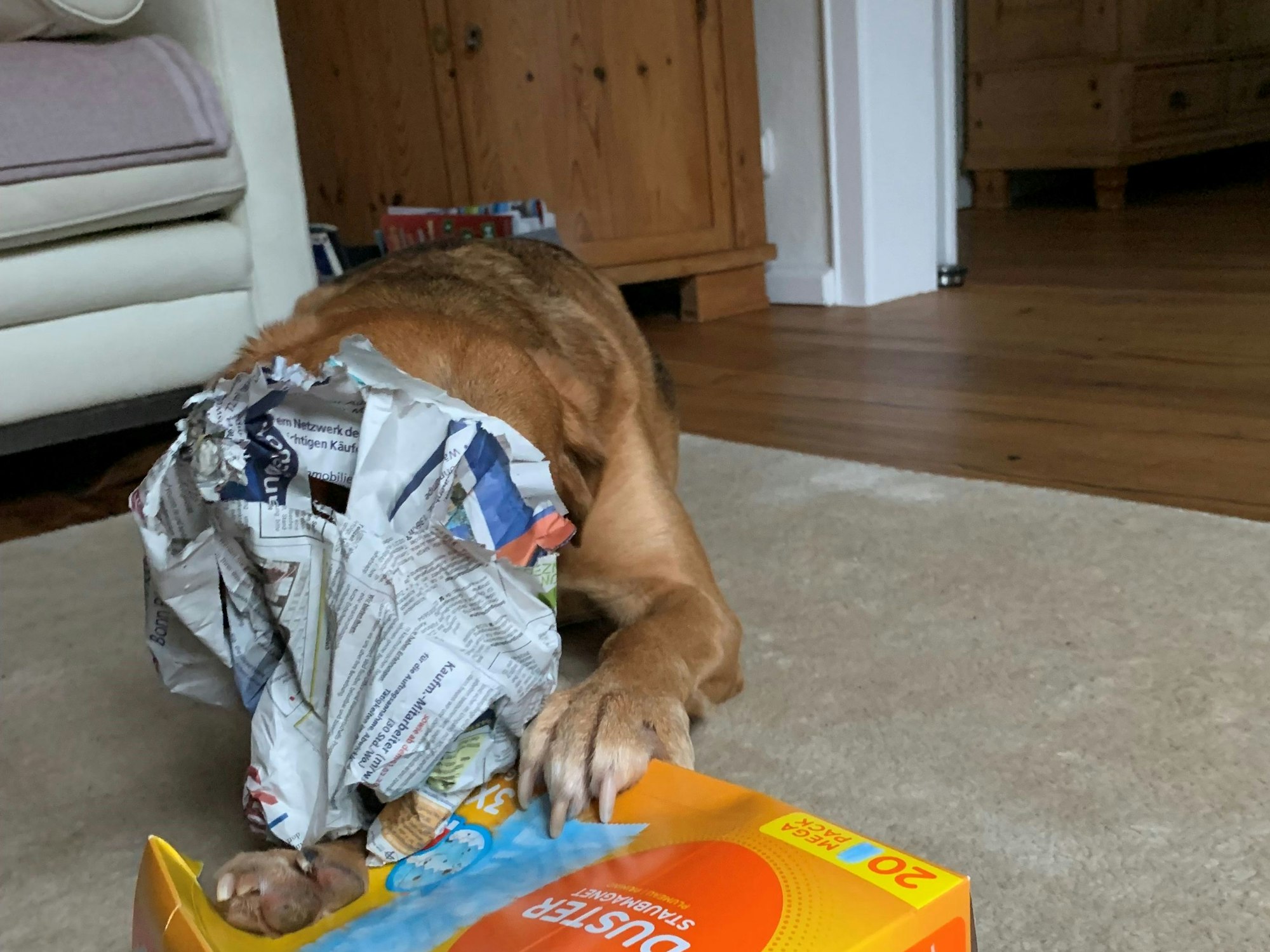 Theo bei einem Leckerchen-Suchspiel