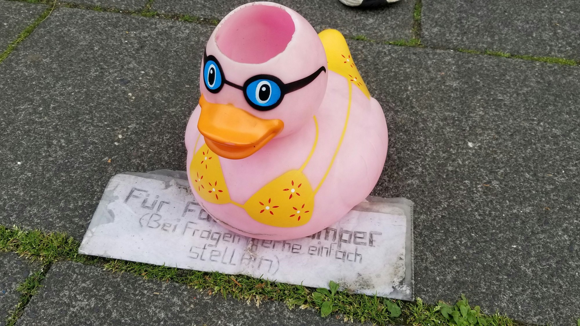 In einer Gummiente sammelt Jonathan für die Renovierung seines Mini-Wohnwagens.