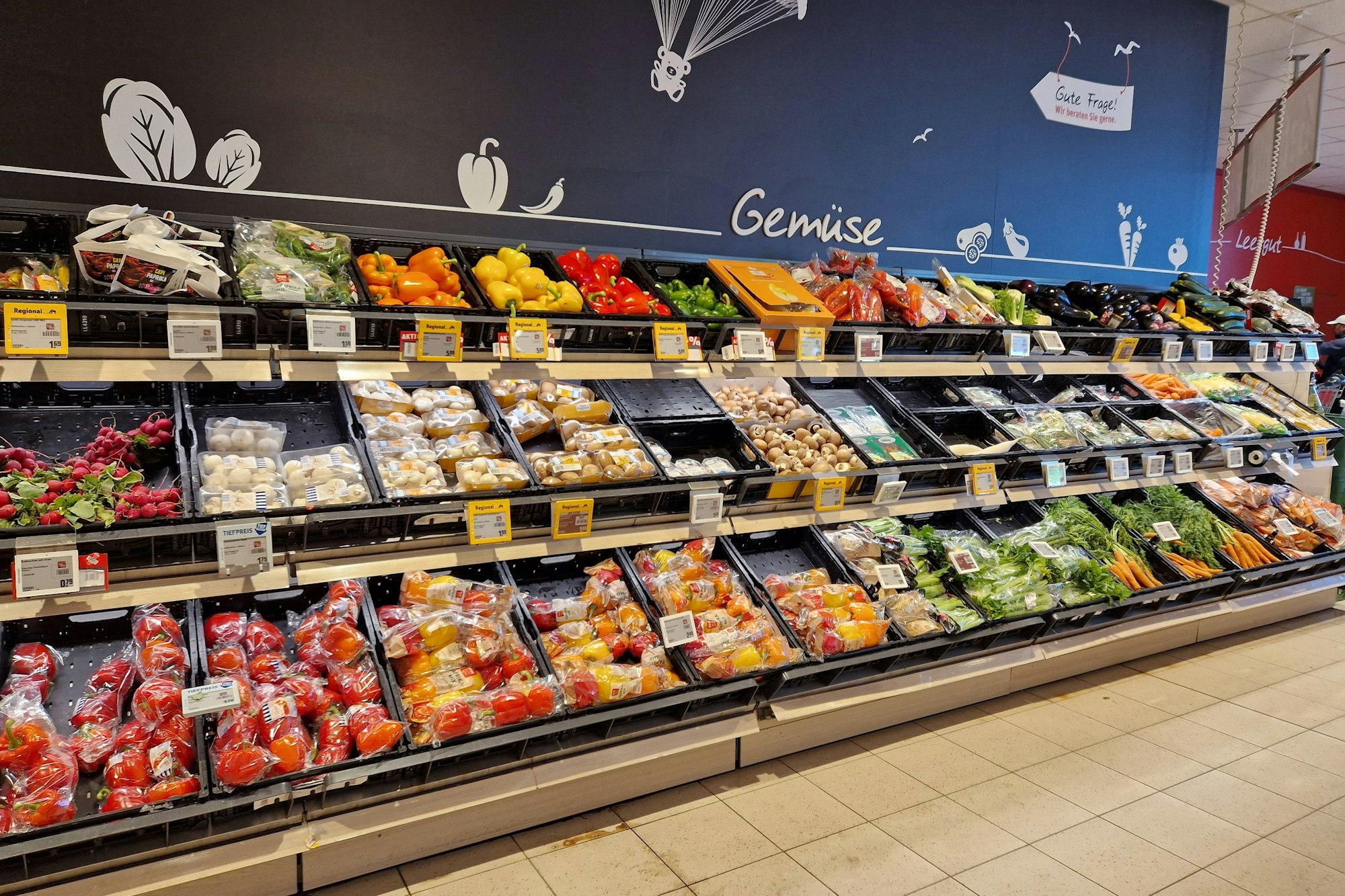 Aktuell könnte der Blick auf die Kartoffeln (wie hier in einem Rewe-Supermarkt) für Entsetzen sorgen. Die Preise in den Supermärkten und Discountern für die Knolle sind so hoch wie lange nicht mehr.