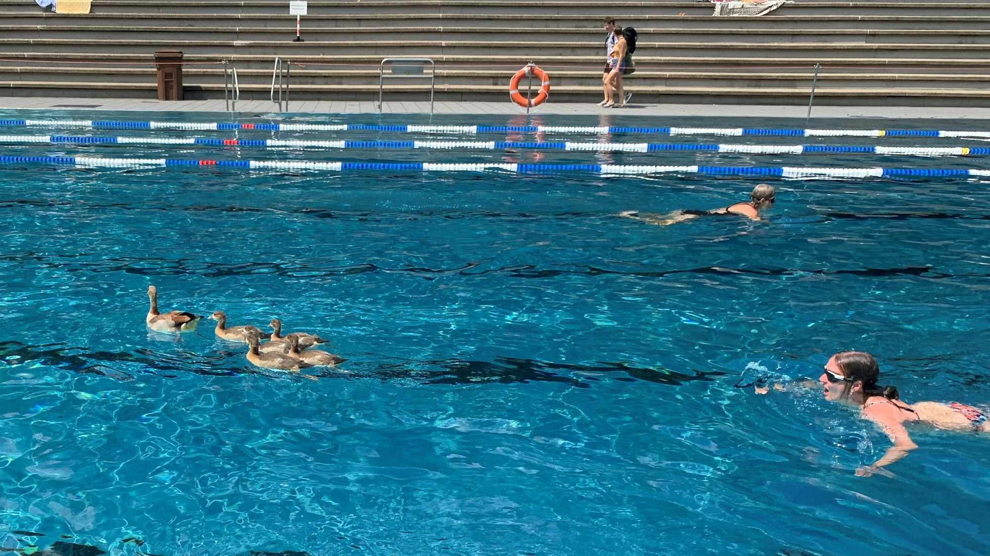Report aus dem Kölner Stadionbad