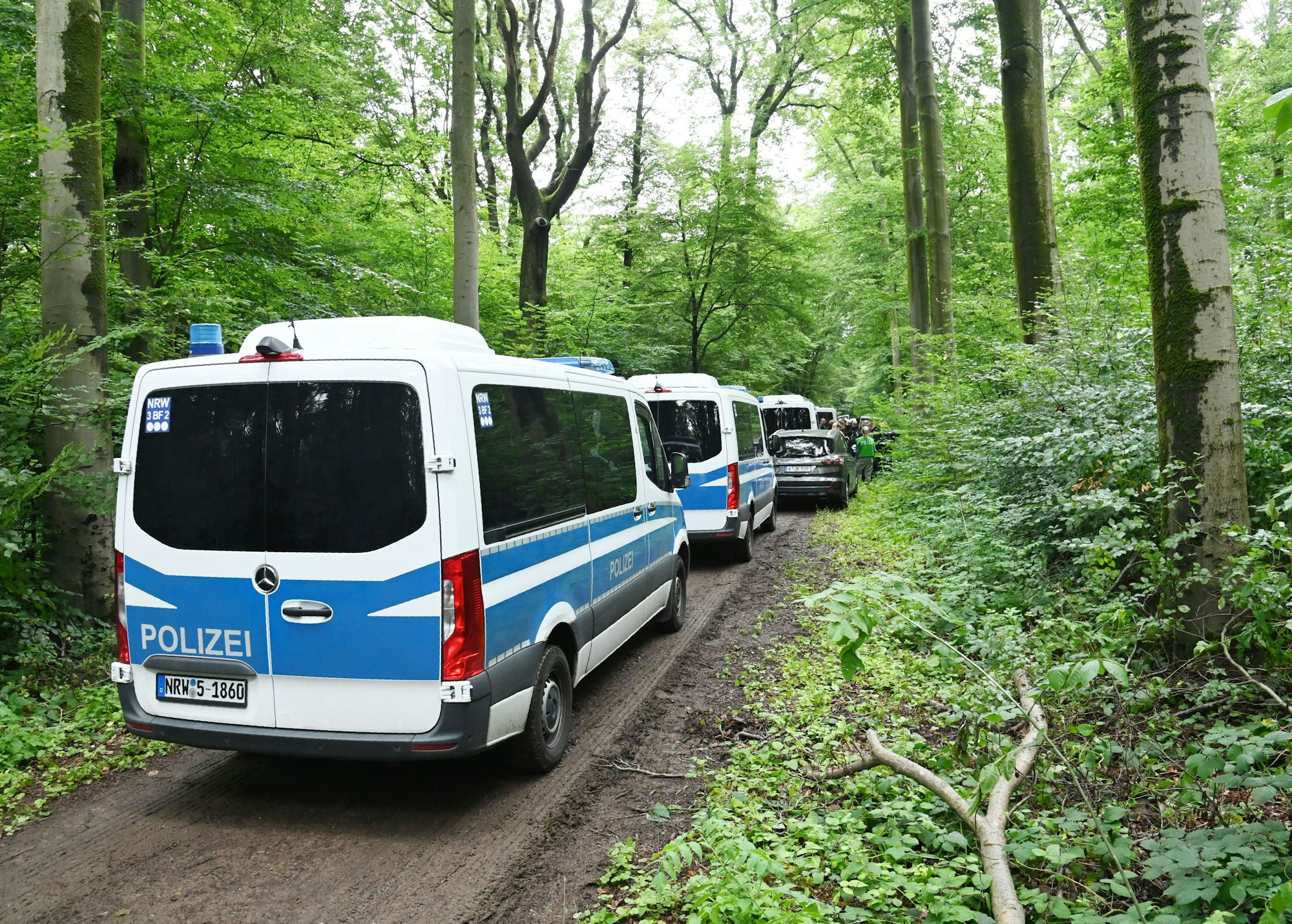 Polizeifahrzeuge fahren das Gremberger Wäldchen.