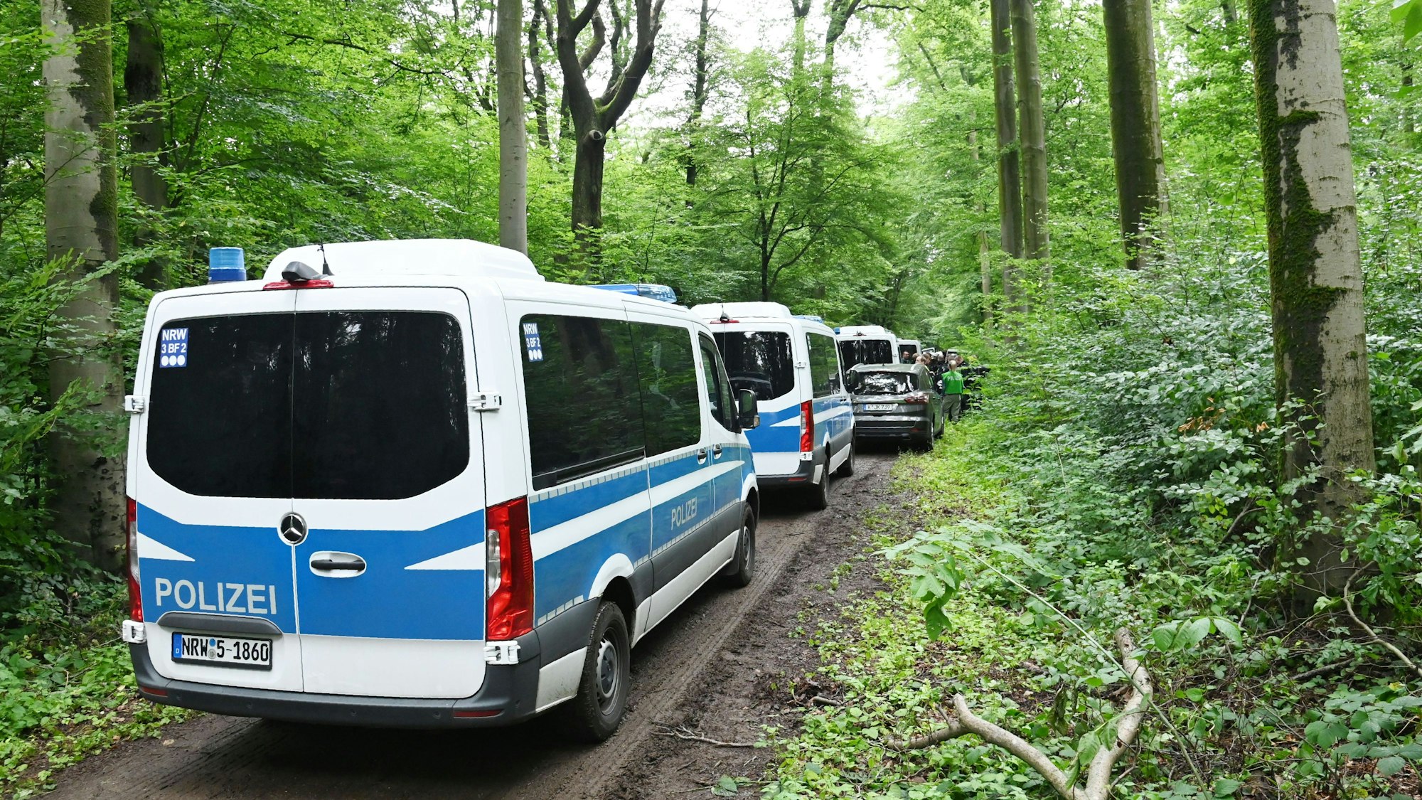 Polizeifahrzeuge fahren das Gremberger Wäldchen.