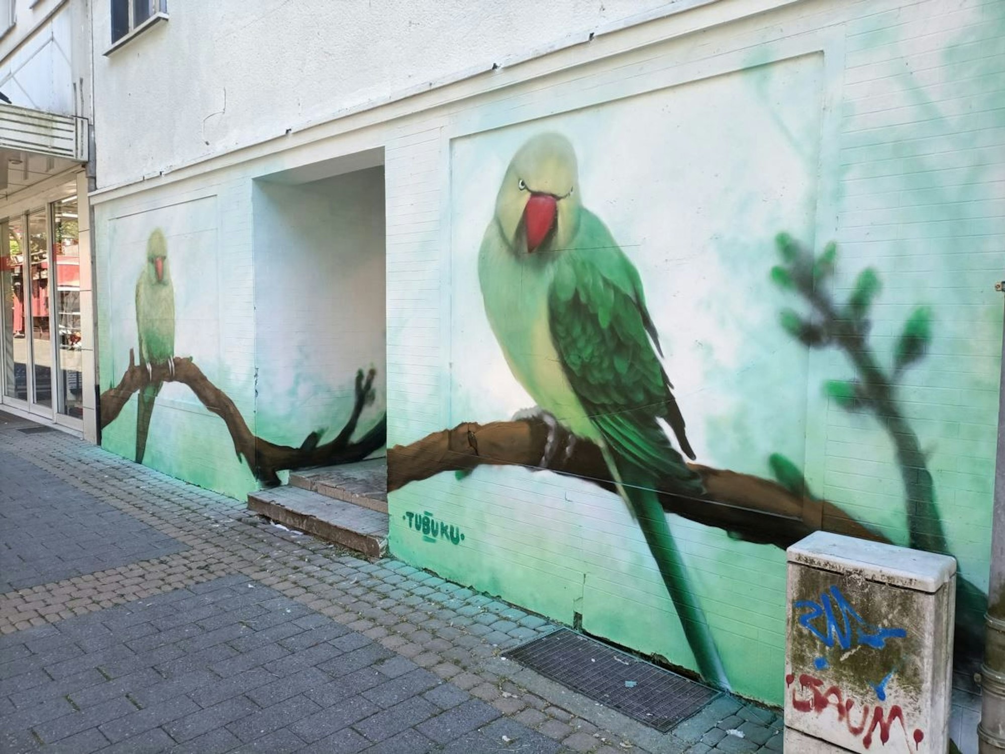 Fassade eines Hauses in Köln mit aufgemalten grünen Halsbandsittichen.