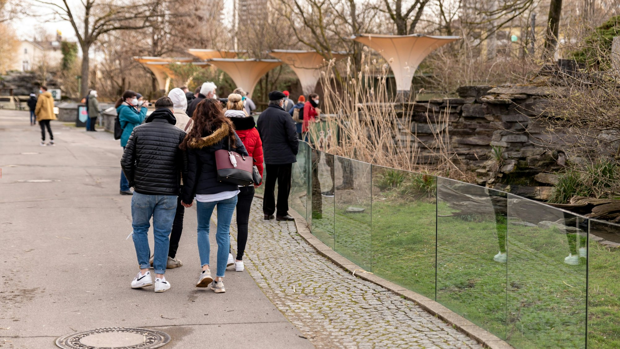 Menschen gehen durch den Kölner Zoo und schauen in die unterschiedlichen Gehege.