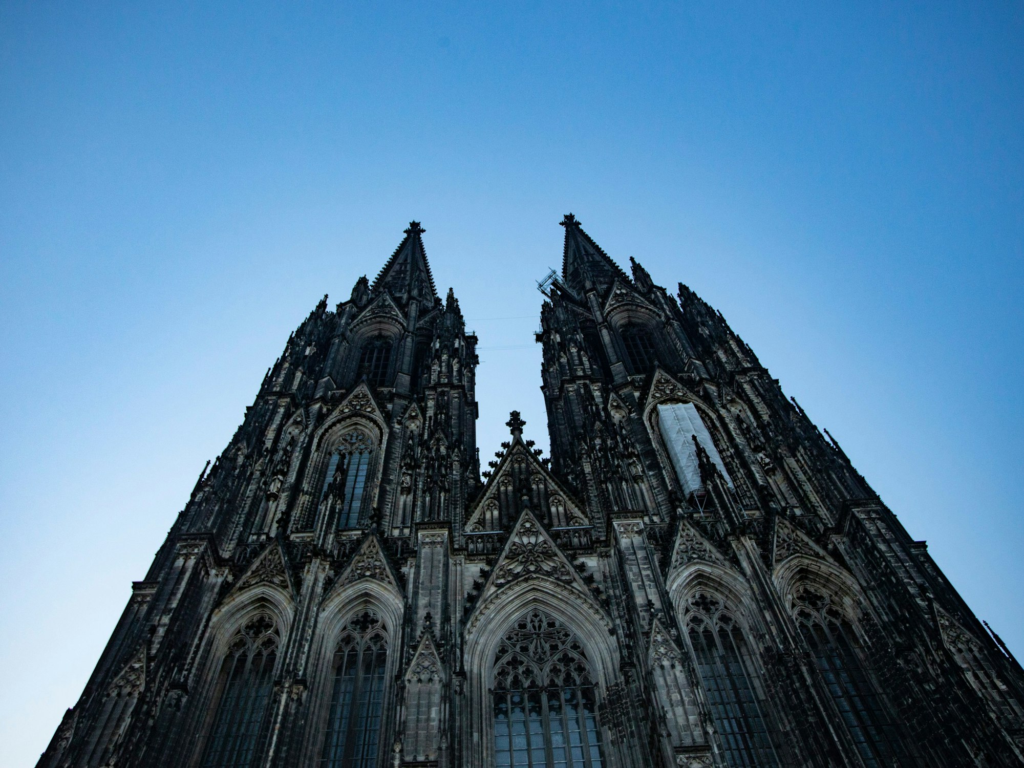 Blick auf den Kölner Dom am frühen Morgen.