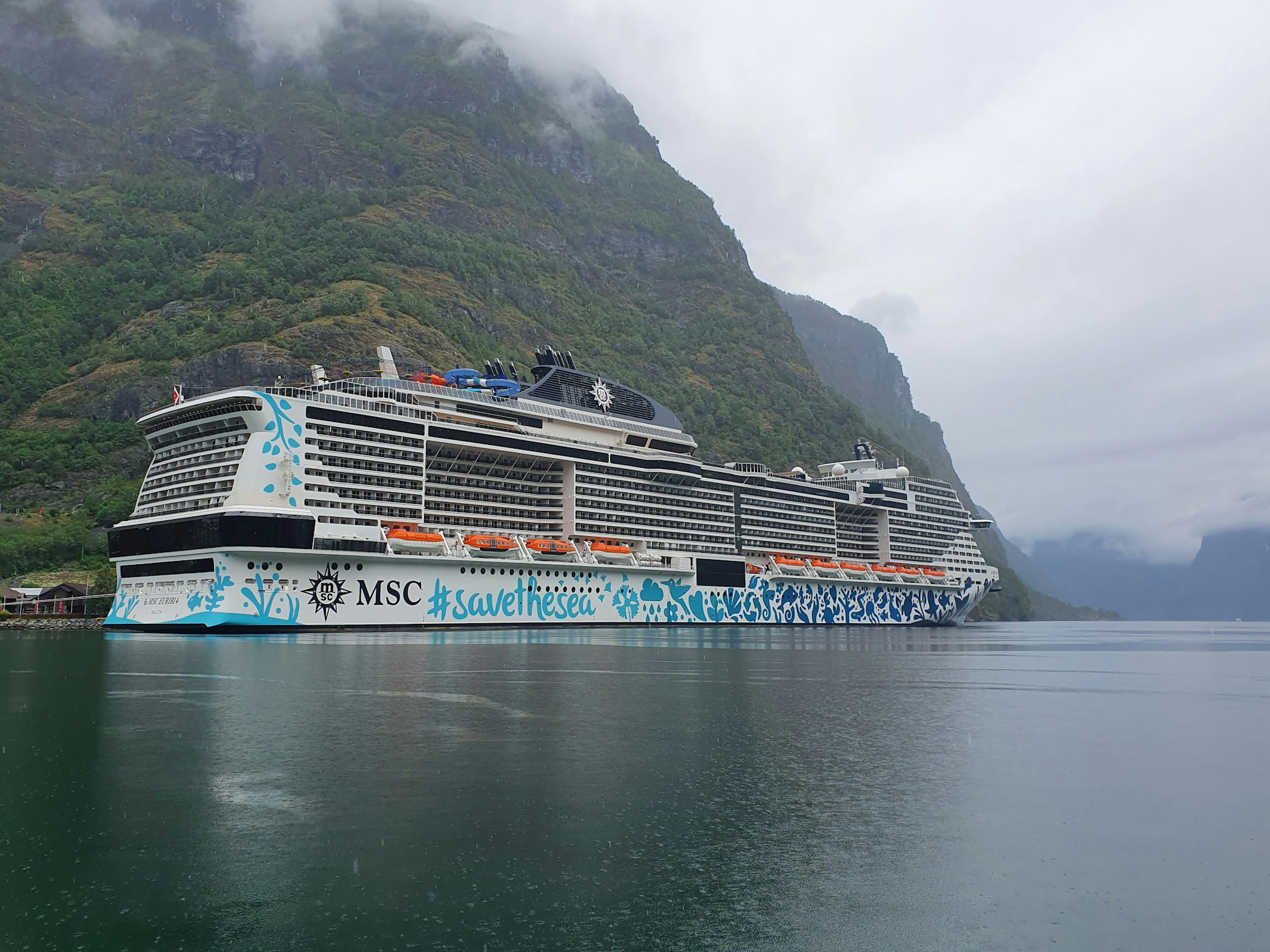 MSC Euribia am Aurlandsfjord