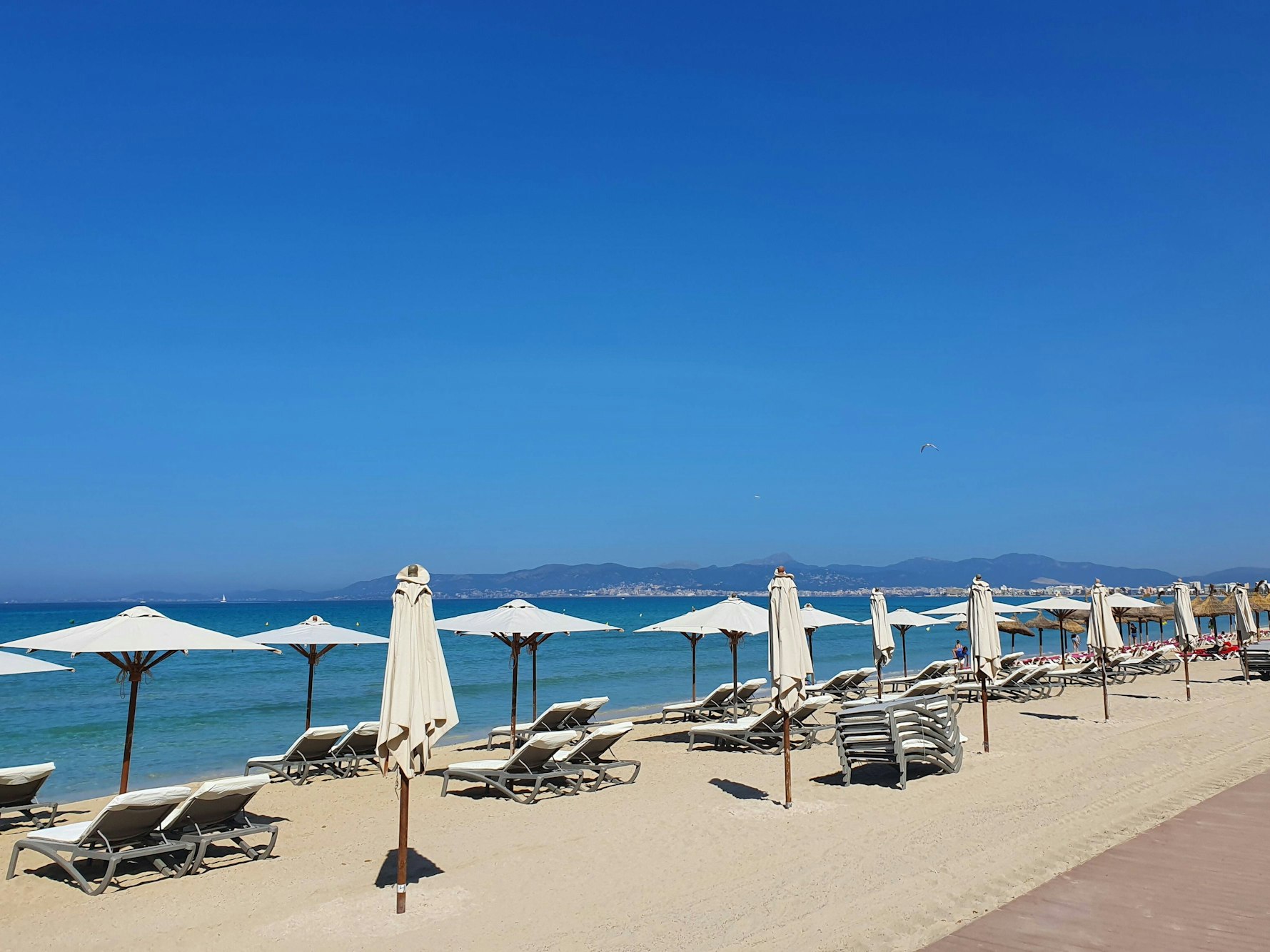 Leere Strandliegen an der Playa de Palma auf Mallorca.