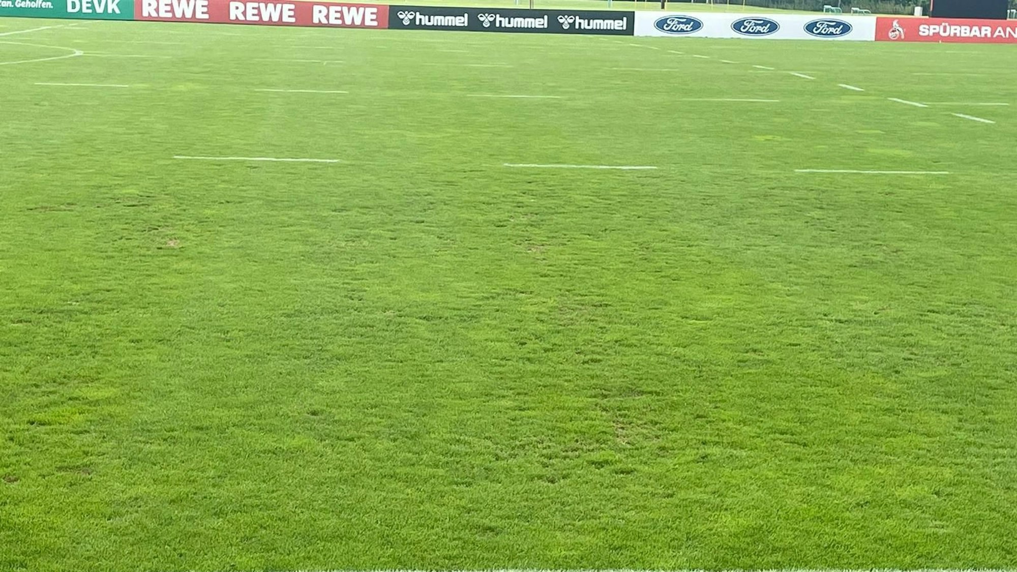 Der Rasen auf dem Platz im FC-Trainingslager