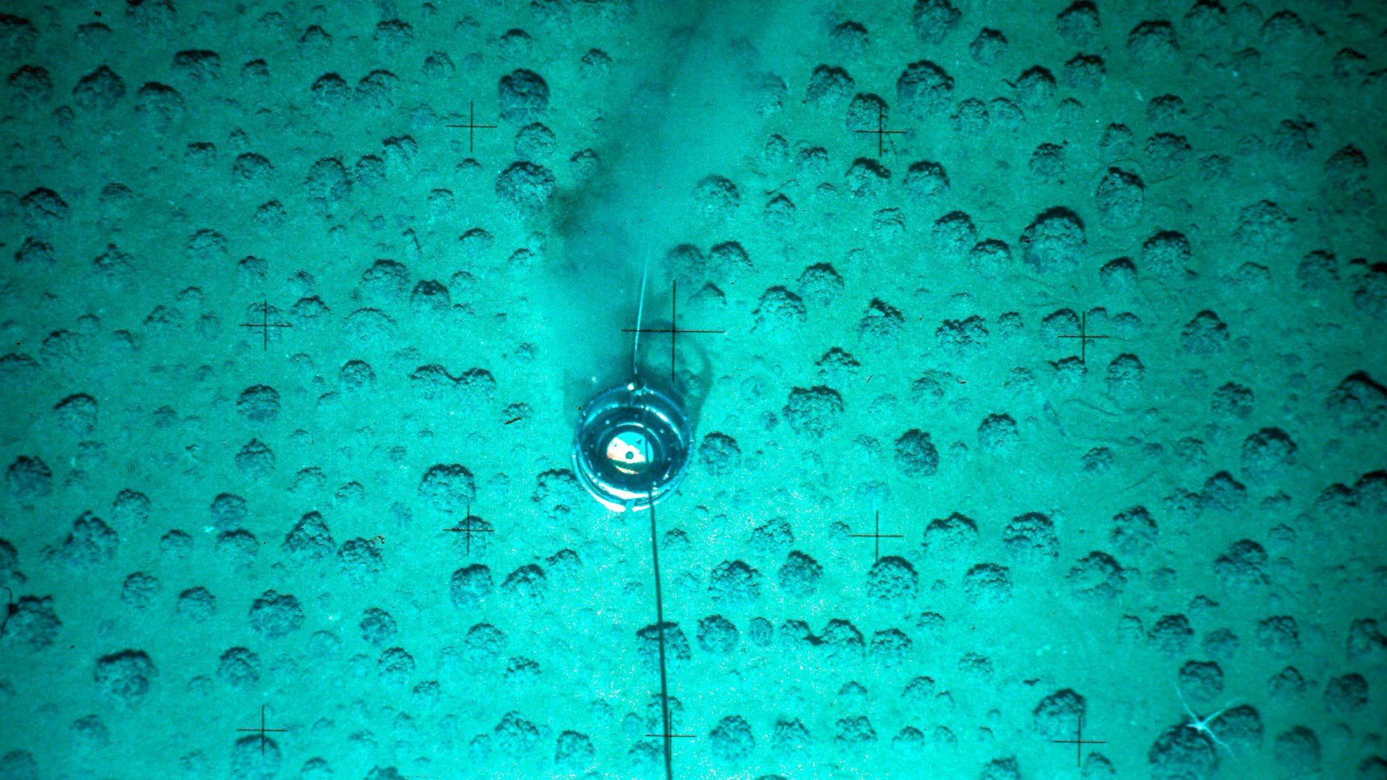 Manganknollen werden am Meeresboden in einer Tiefe von mehreren tausend Metern im Pazifik untersucht (Foto vom 18.10.2004).