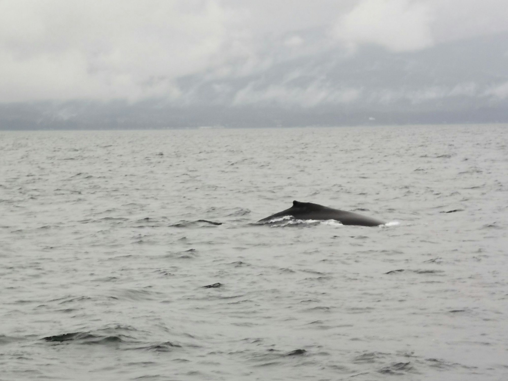Nicole Adami Reiseseite Vancouver 21.07.2024
