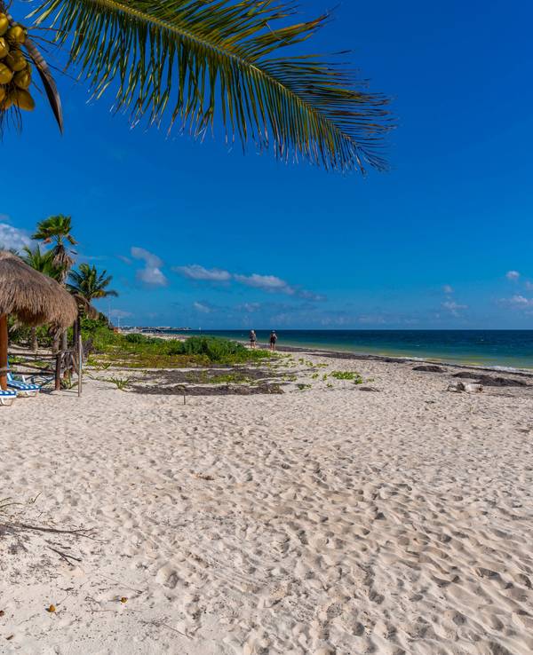 Liegestühle stehen an einem Strand in Mexiko.