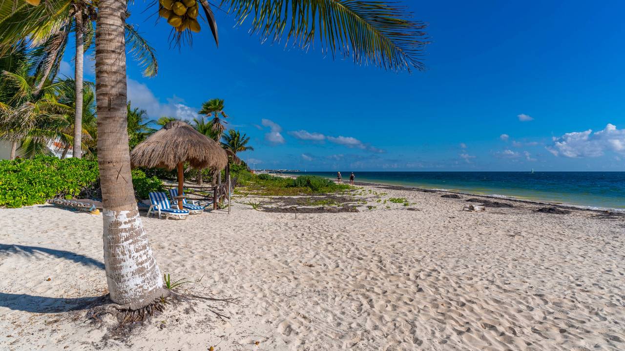 Liegestühle stehen an einem Strand in Mexiko.