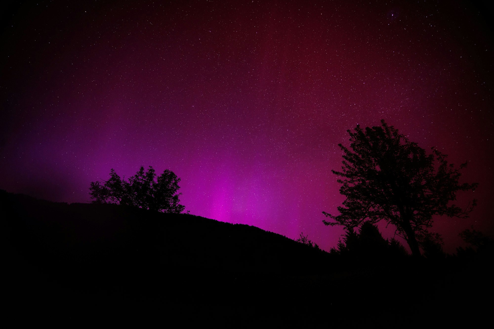 Polarlichter (Aurora borealis) leuchten am nächtlichen Himmel über dem Wagenbrüchsee.