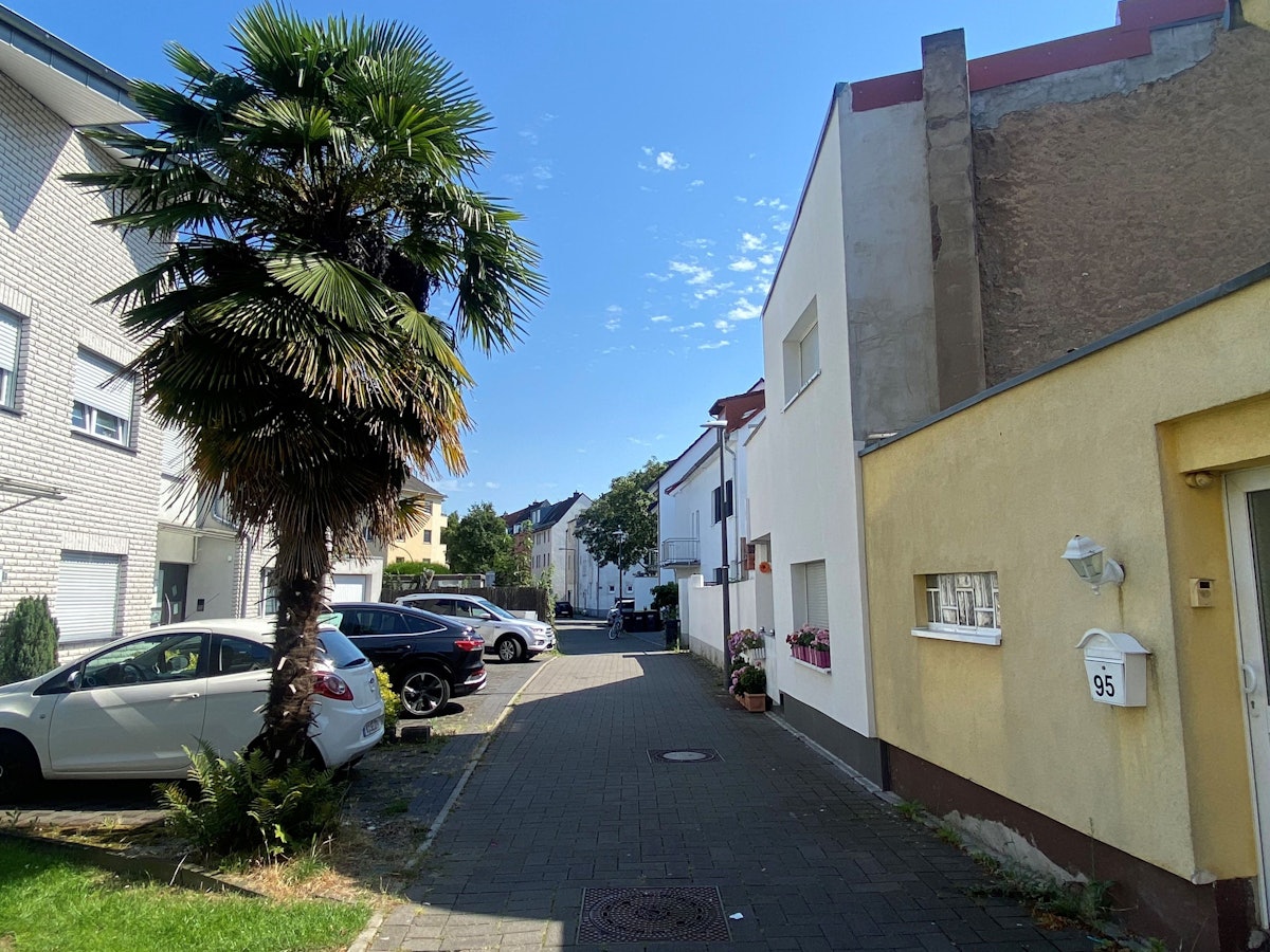 Eine Palme steht auf der Feldgärtenstraße in Köln-Niehl.