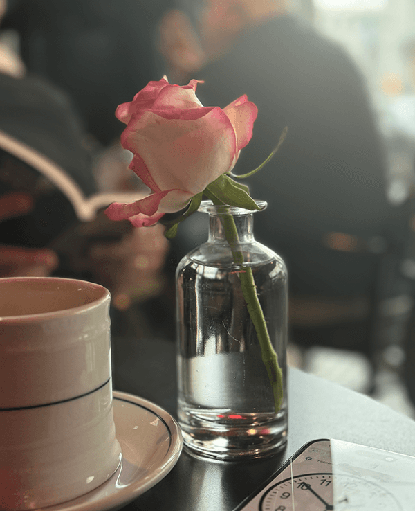 Eine Rose steht in einem Restaurant auf einem Tisch