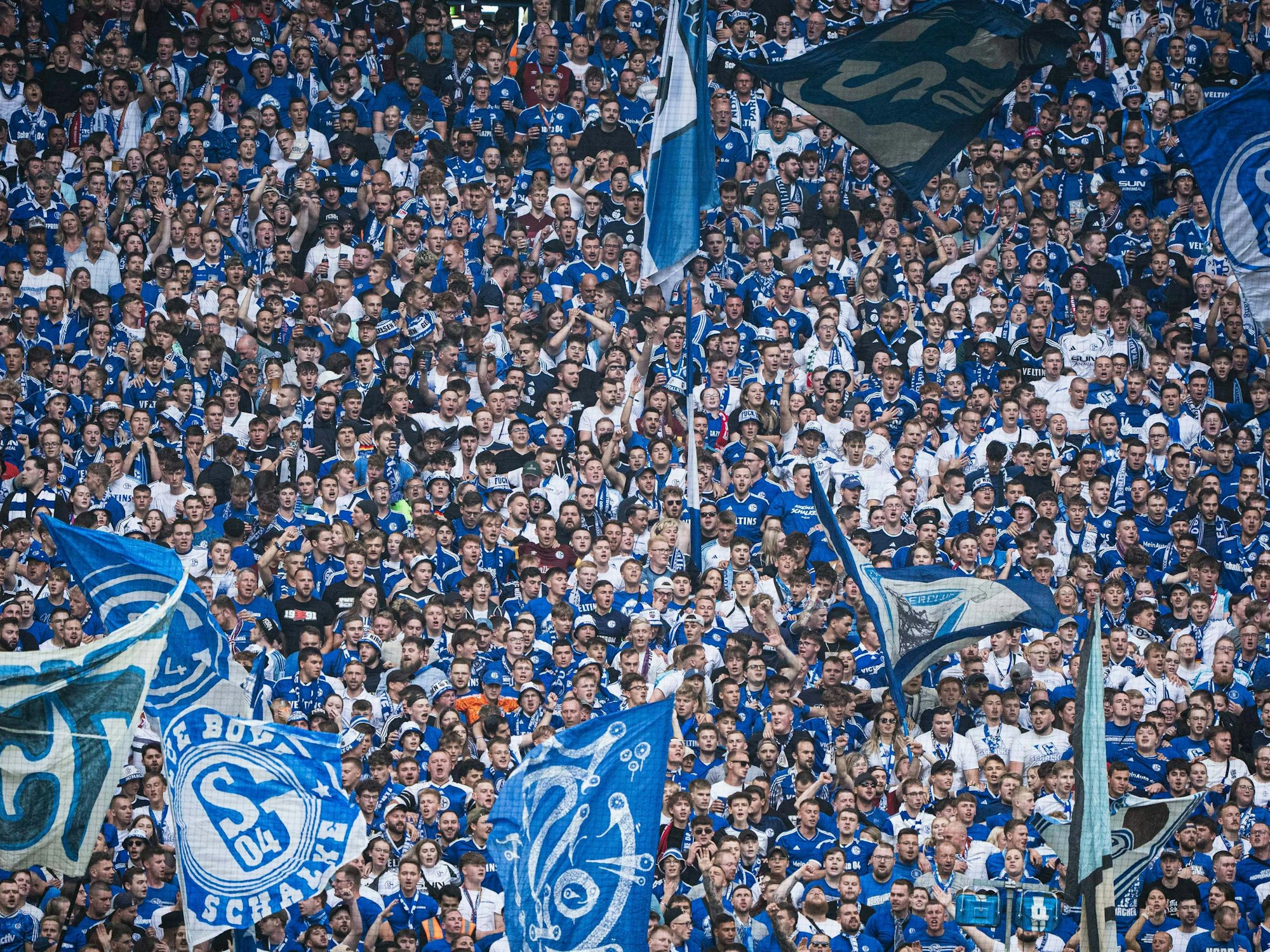 Die Fans des FC Schalke 04 beim ersten Saisonspiel gegen Eintracht Braunschweig.