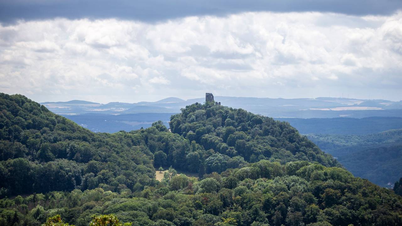Blick auf den Wald des Siebengebirges mit der Drachenfelsruine.
