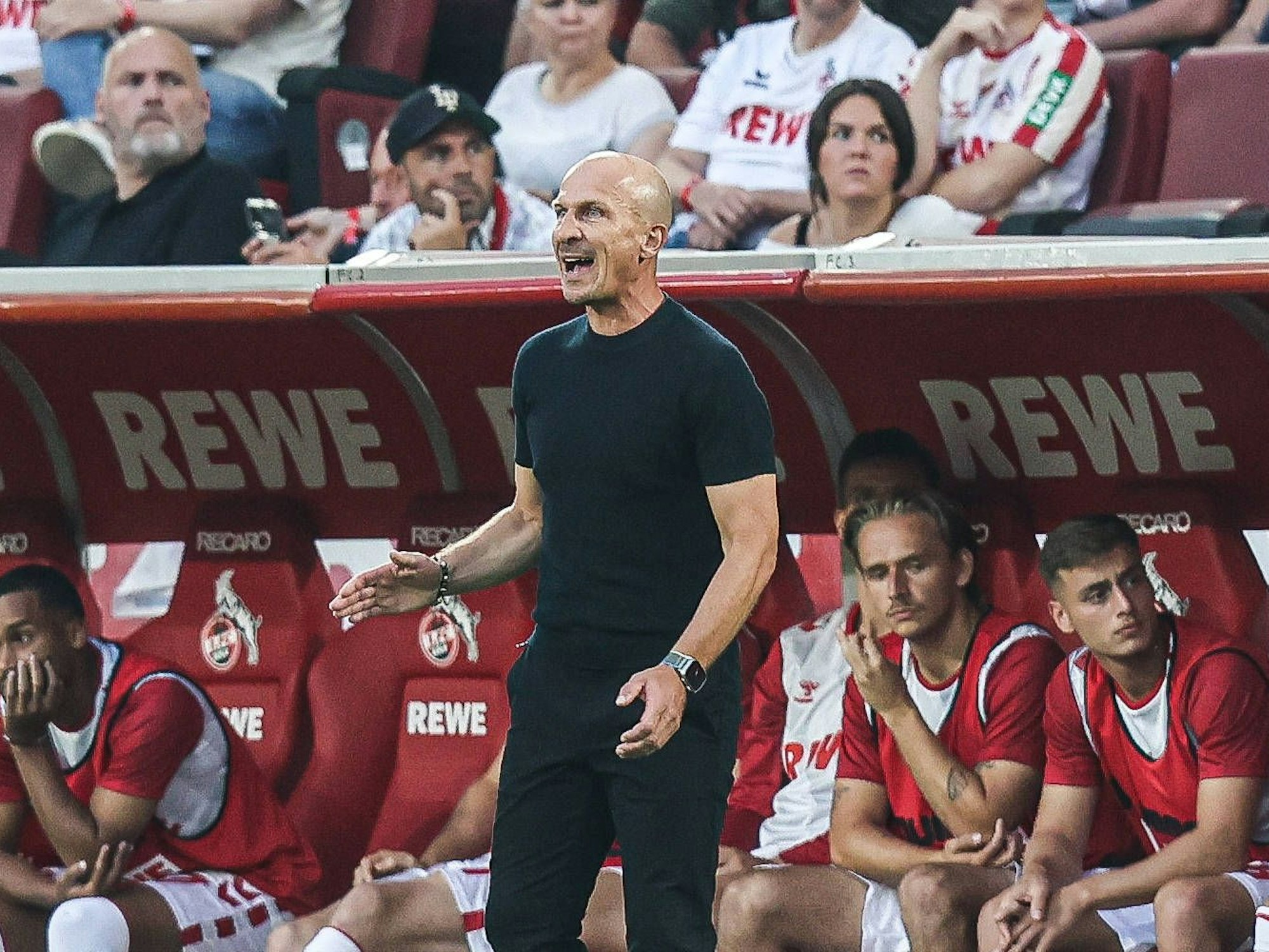 Gerhard Struber beim Spiel gegen den Hamburger SV.