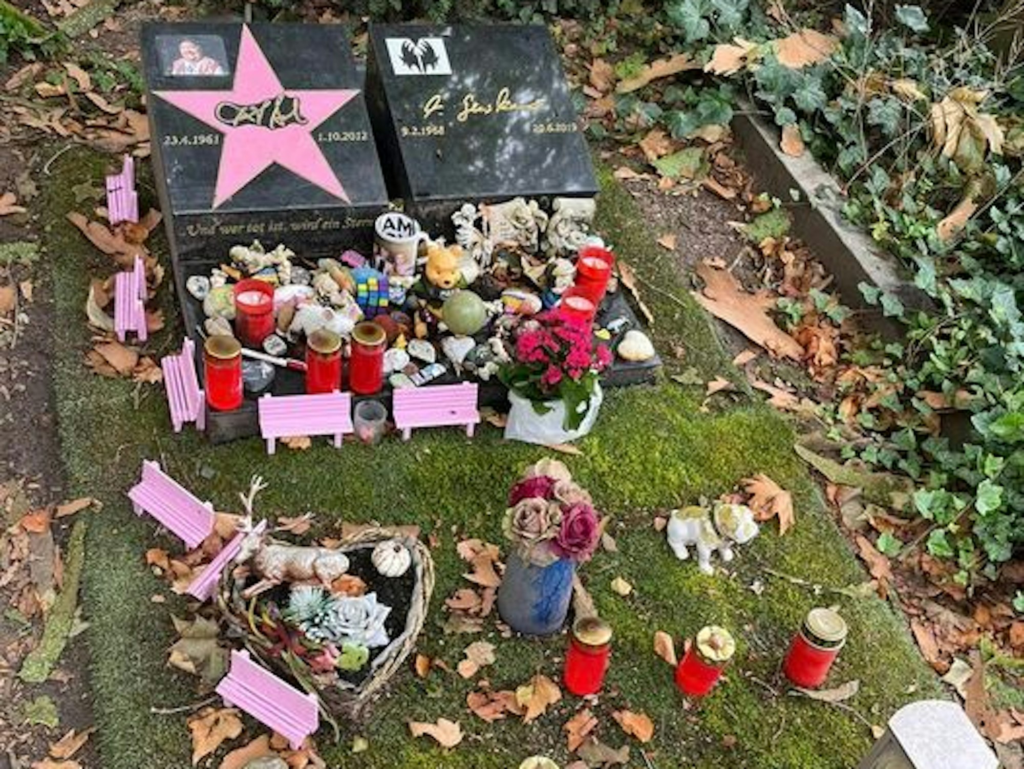 Das Grab von Dirk Bach (†51) auf dem Melaten-Friedhof ist derzeit in keinem guten Zustand.