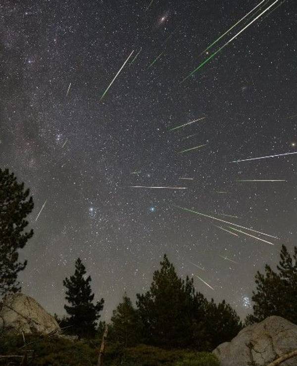 Perseidenschauer im US-Nationalpark Sequoia