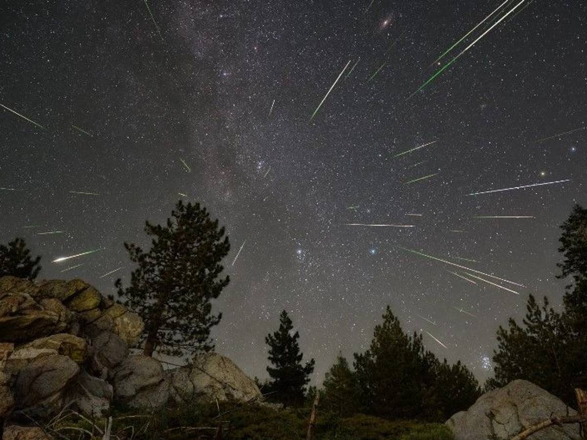 Perseidenschauer im US-Nationalpark Sequoia