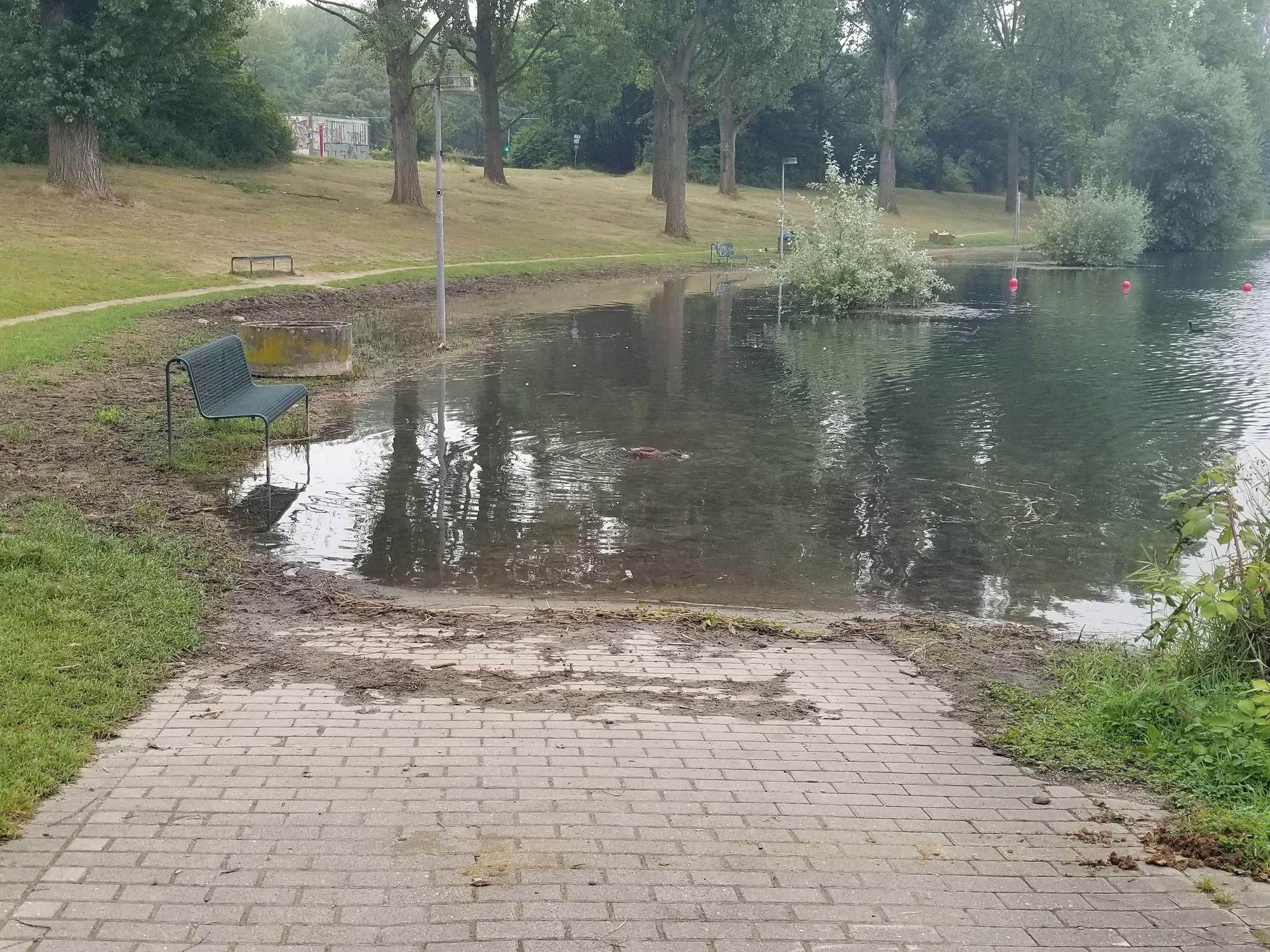 Hochwasser am Fühlinger See
