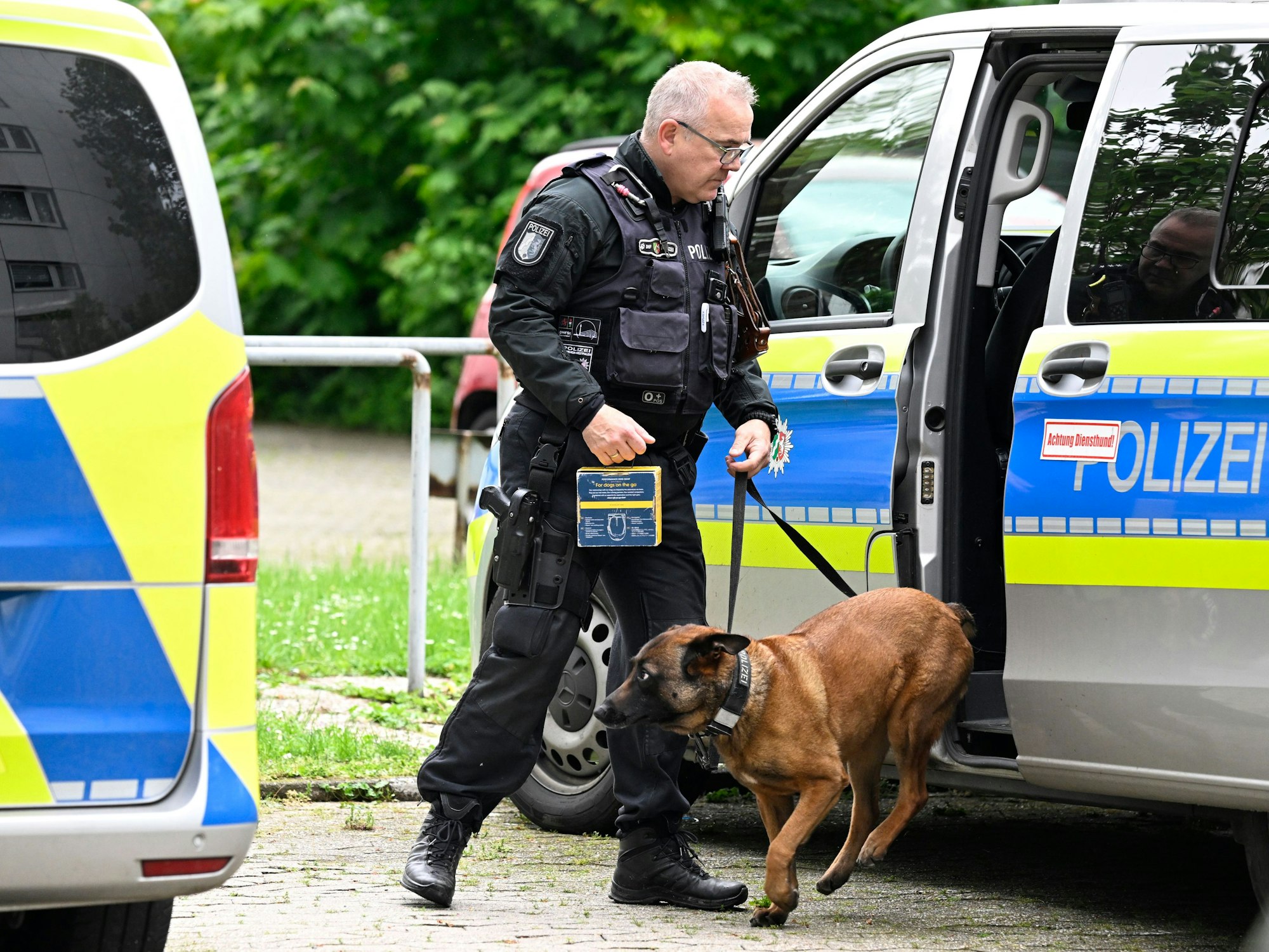 Ein Polizeihund an der Leine.