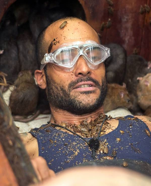 Umgeben von zahlreichen Ratten probiert David Odonkor in der 17. Staffel des TV-Dschungelcamps „Ich bin ein Star - Holt mich hier raus!“, die festgeschraubten Sterne zu lösen.