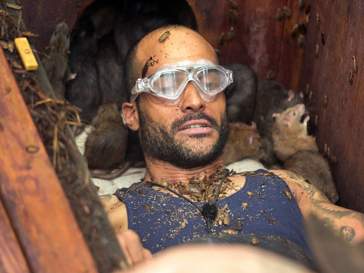 Umgeben von zahlreichen Ratten probiert David Odonkor in der 17. Staffel des TV-Dschungelcamps „Ich bin ein Star - Holt mich hier raus!“, die festgeschraubten Sterne zu lösen.