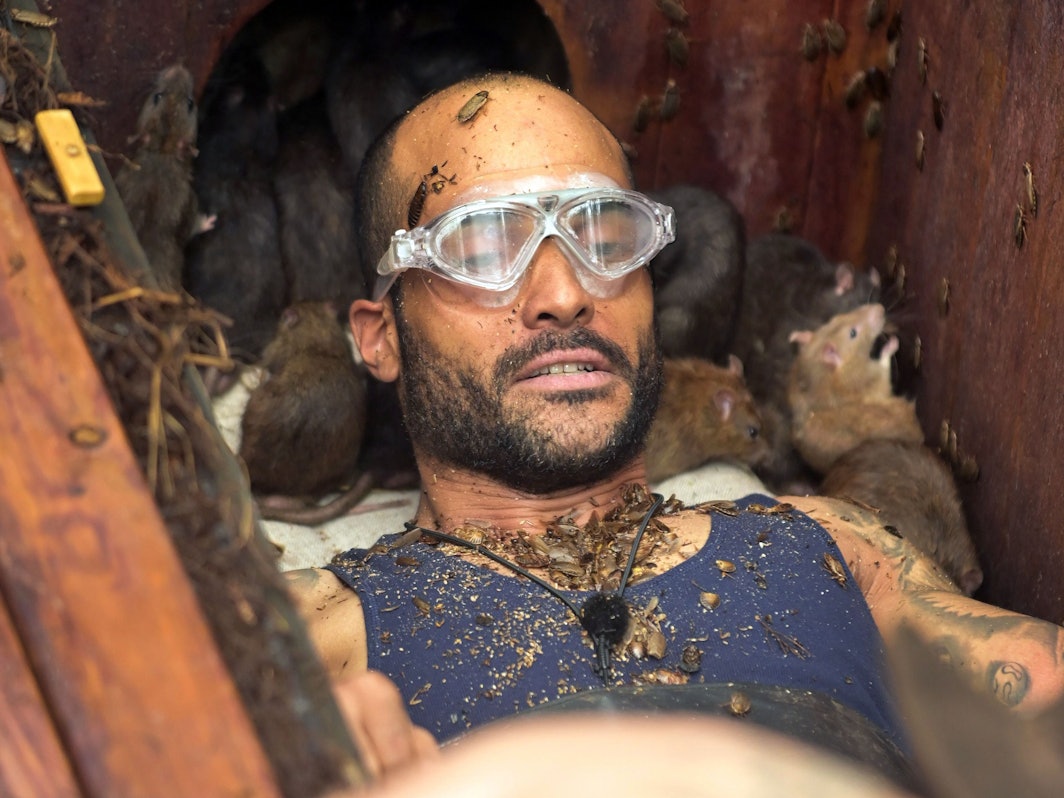 Umgeben von zahlreichen Ratten probiert David Odonkor in der 17. Staffel des TV-Dschungelcamps „Ich bin ein Star - Holt mich hier raus!“, die festgeschraubten Sterne zu lösen.