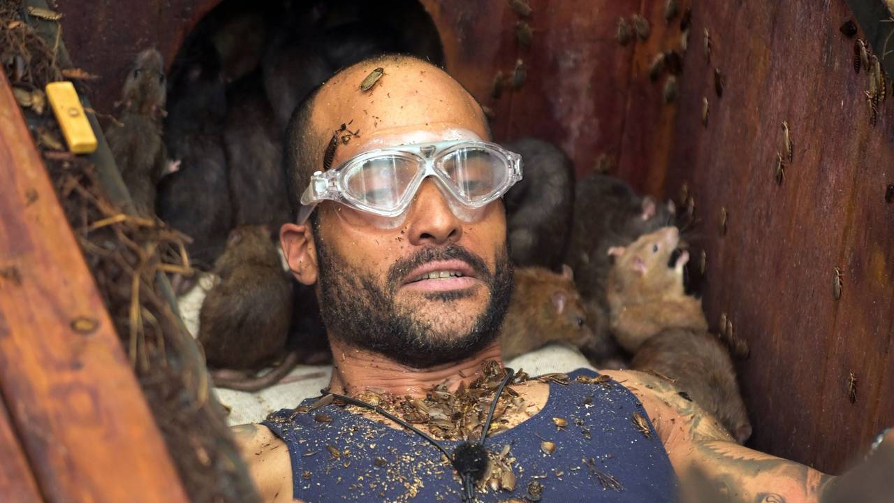 Umgeben von zahlreichen Ratten probiert David Odonkor in der 17. Staffel des TV-Dschungelcamps „Ich bin ein Star - Holt mich hier raus!“, die festgeschraubten Sterne zu lösen.