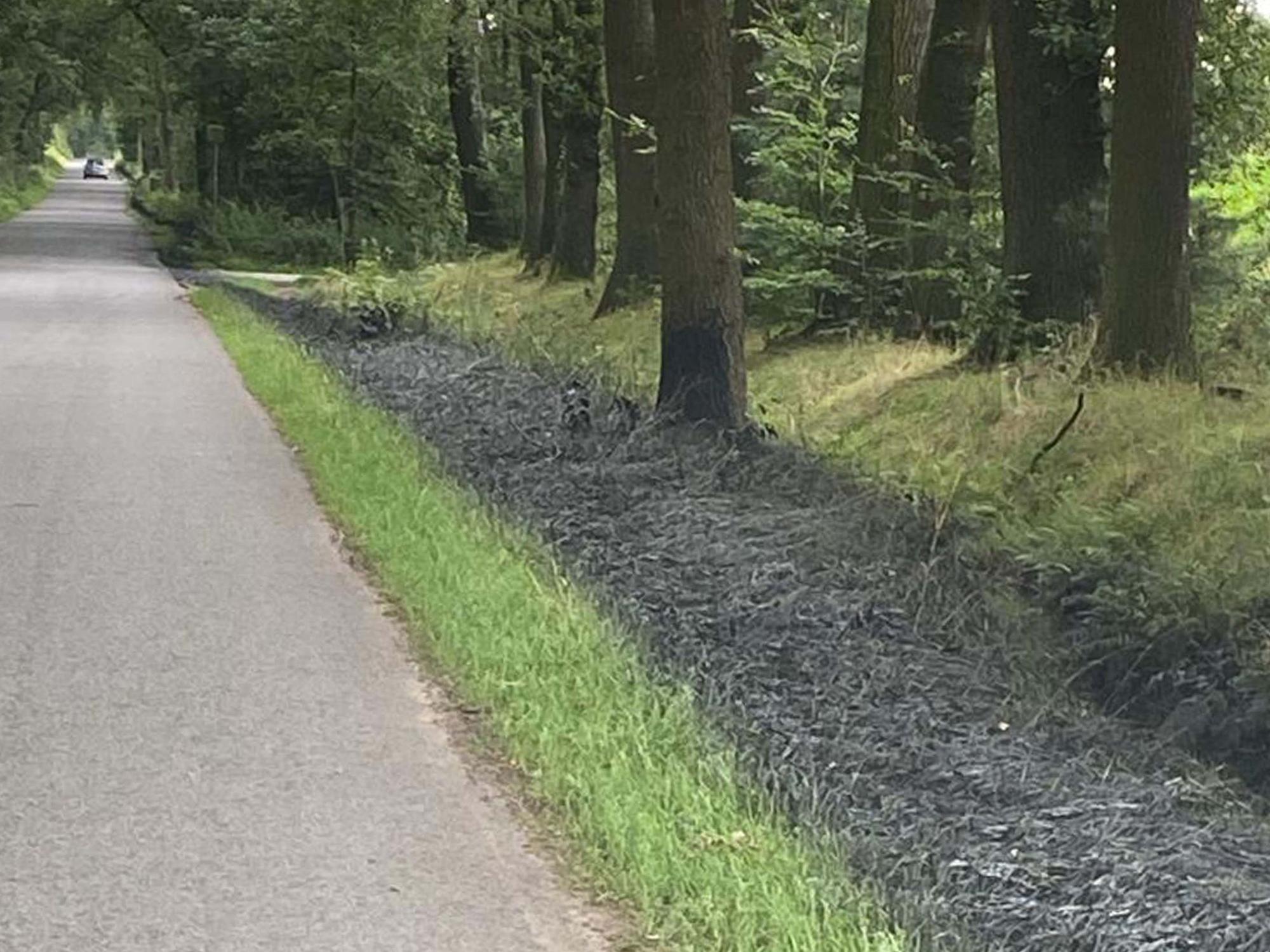 Das Foto zeigt die Verunreinigungen, die das Team des Kreis-Bauhofs am Freitagmorgen an der Granatstraße entdeckt hat.