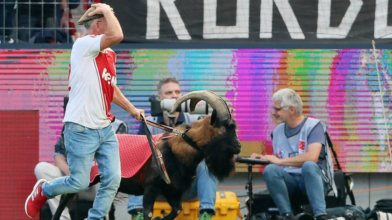 Ingo Reipka führt FC Maskottchen Hennes ins Stadion.