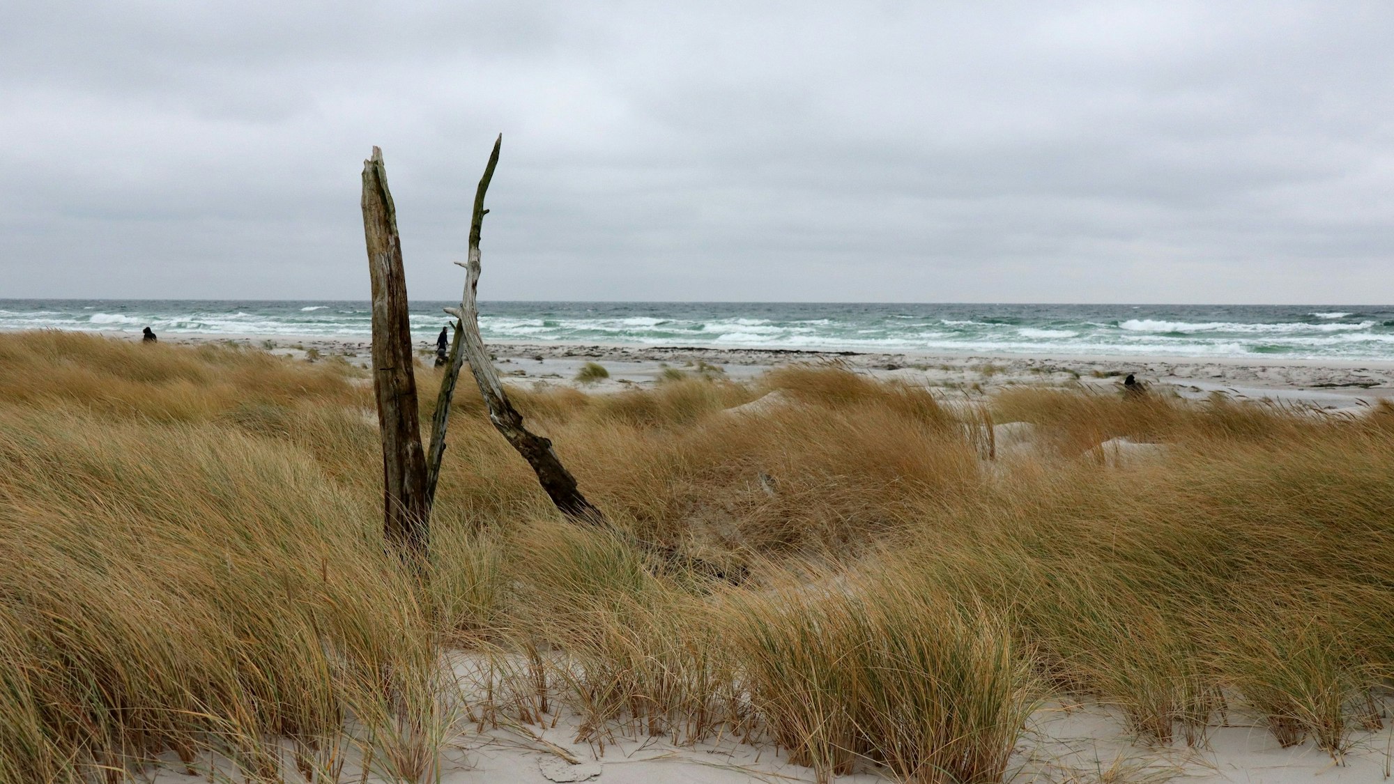 Zum Themendienst-Bericht von Verena Wolff vom 29. Oktober 2020: Bornholm im Winter, das bedeutet: Die Tage sind recht kurz so weit im Norden, der Wind pfeift. Die Regenwahrscheinlichkeit ist hoch.