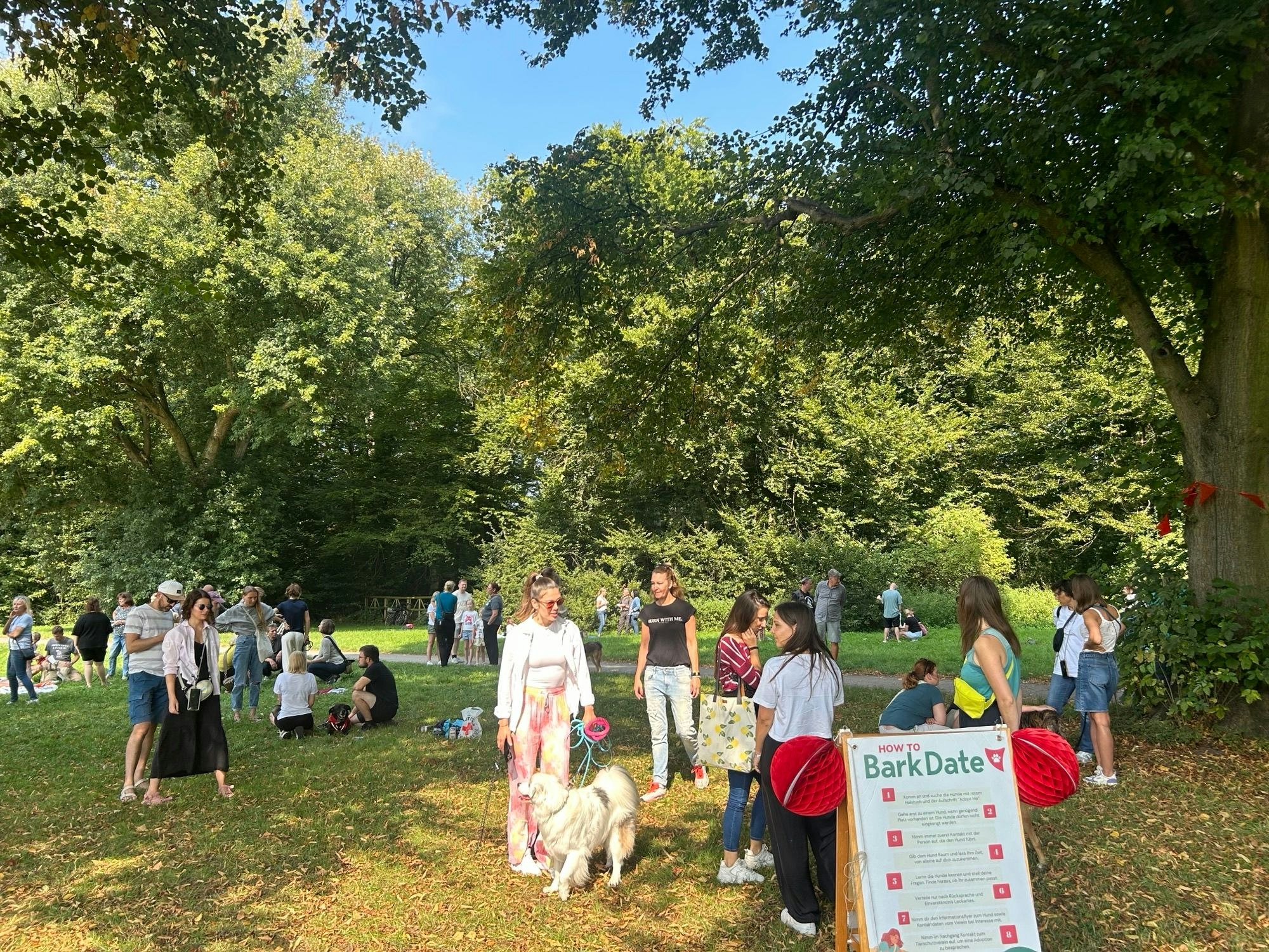 Vier Frauen sitzen auf einer Wiese um einen Hund herum.